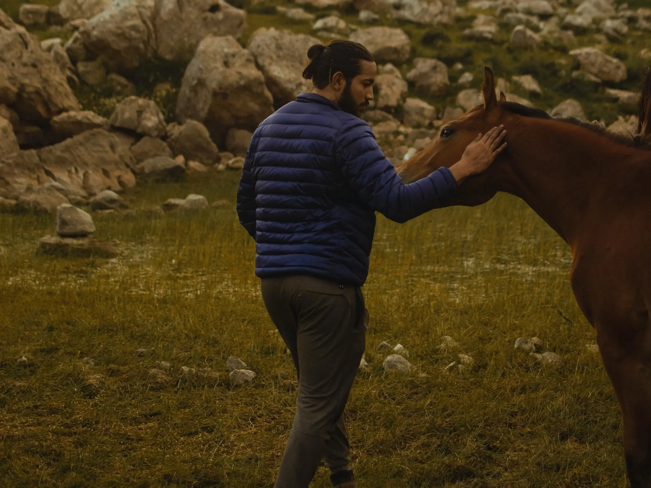 Horse and rider in Algeria