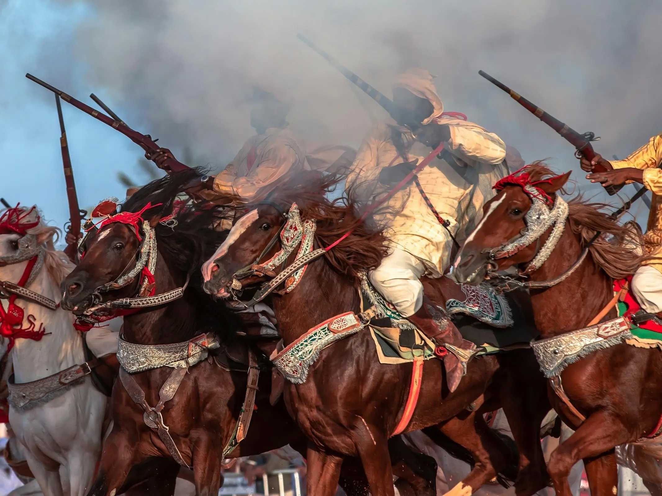 Horse and rider in Algeria