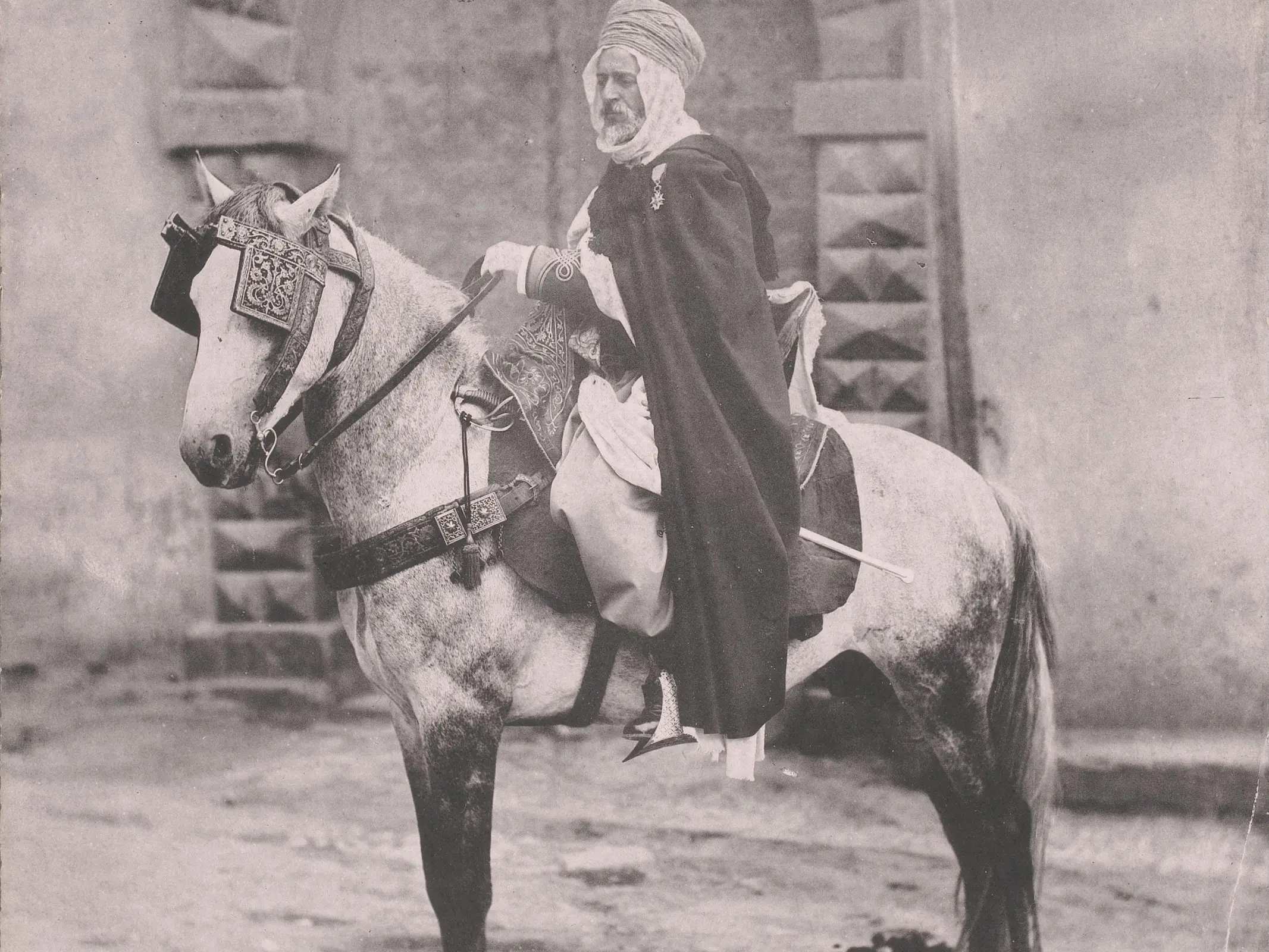Horse and rider in Algeria