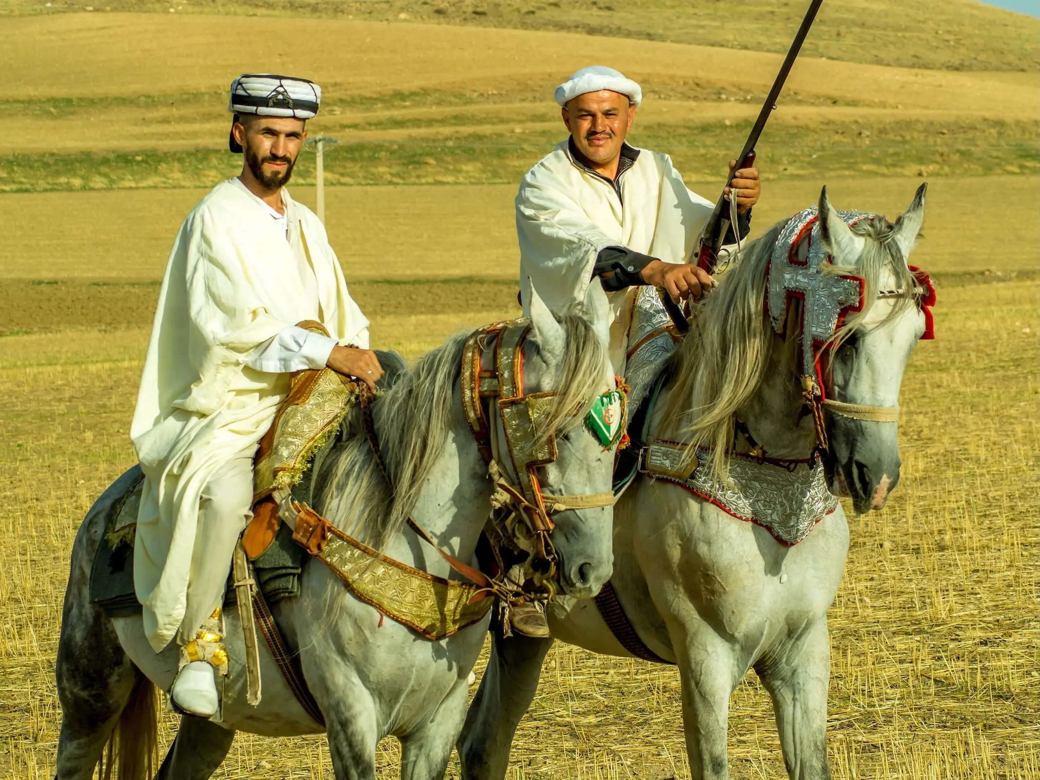 Horse and rider in Algeria