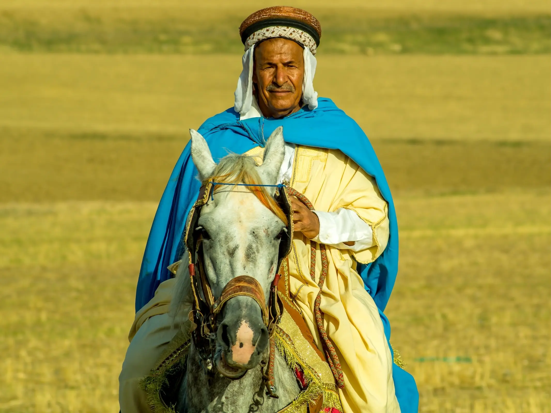 Horse and rider in Algeria