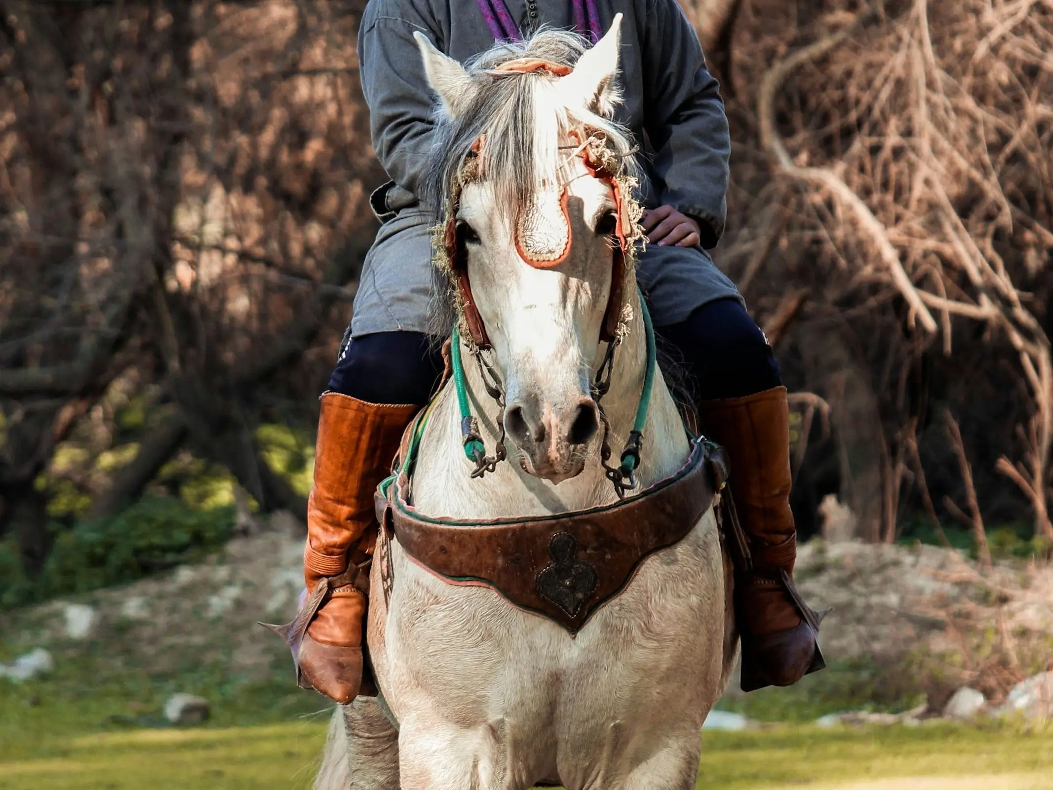 Algerian Arabian Berber