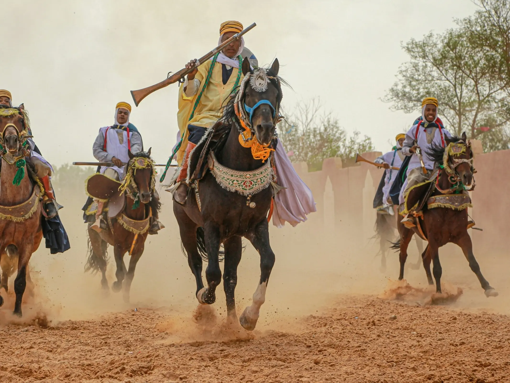 Algerian Arabian Horse