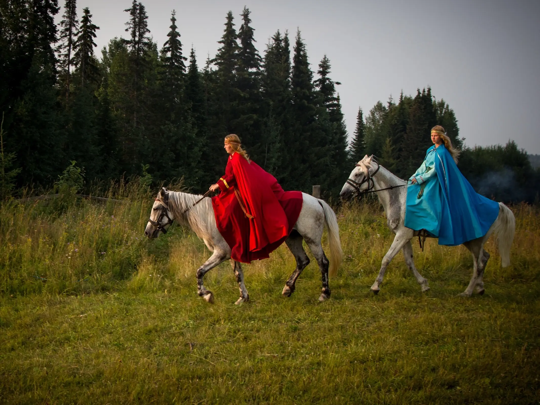 Altai Horse