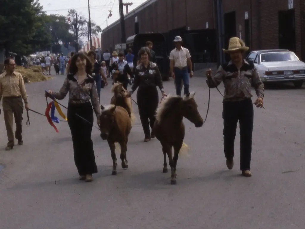 People leading American Miniature Horses during a parade in the 1970's