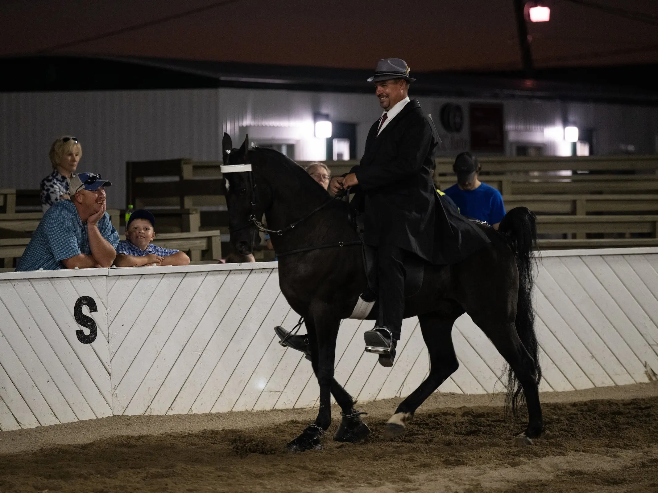 American Saddlebred Horse