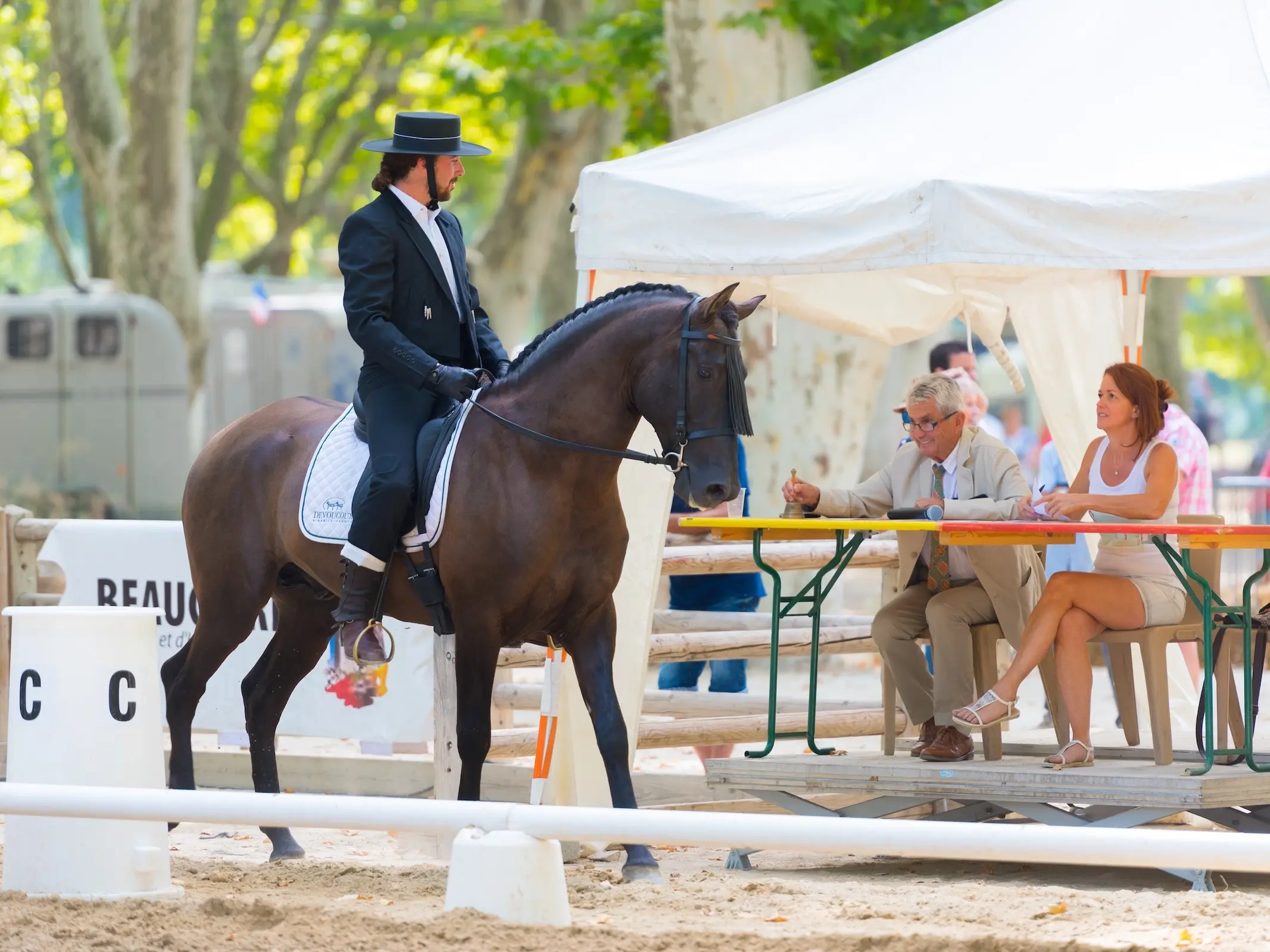 Andalusian Horse