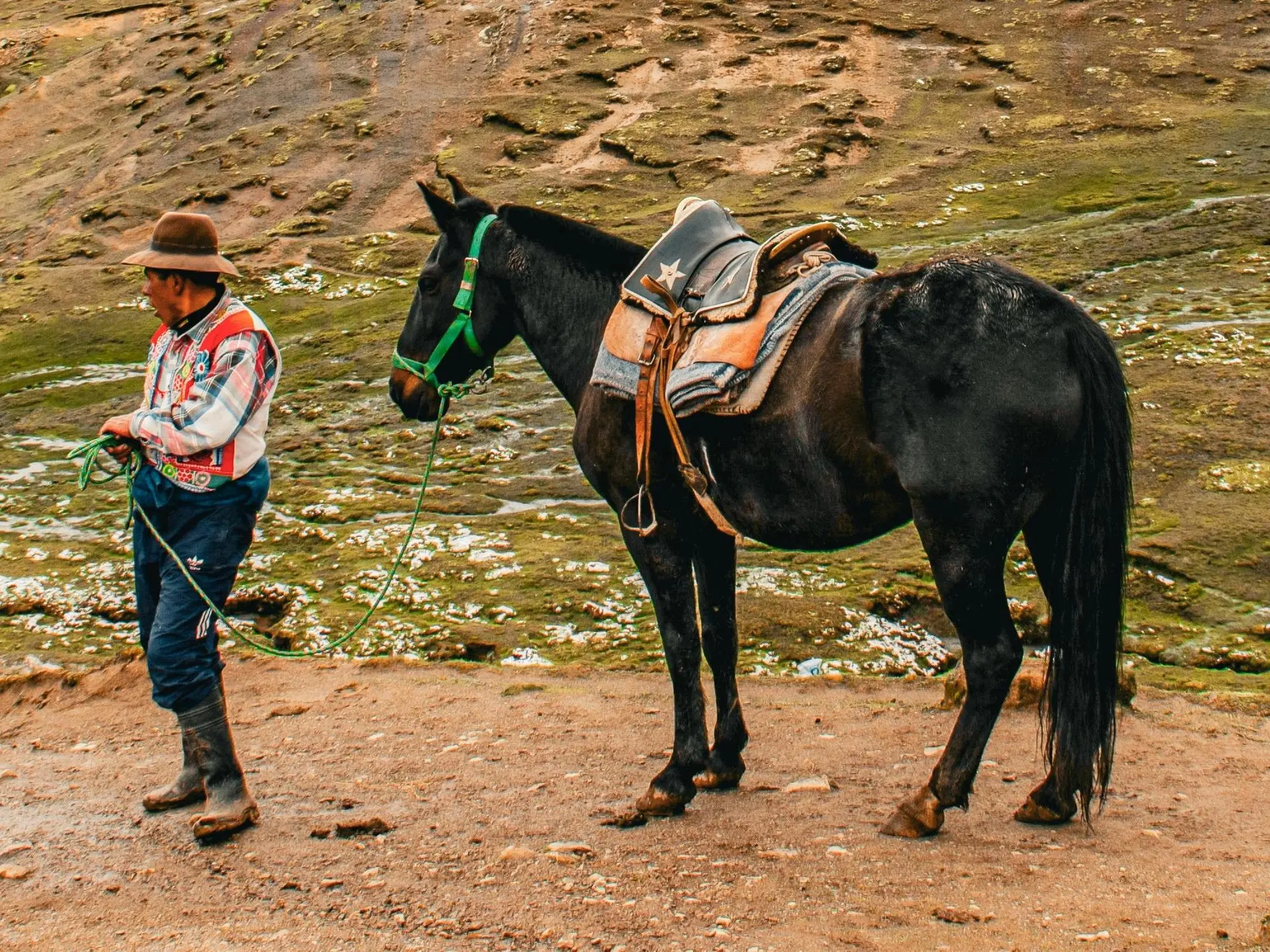 Andean