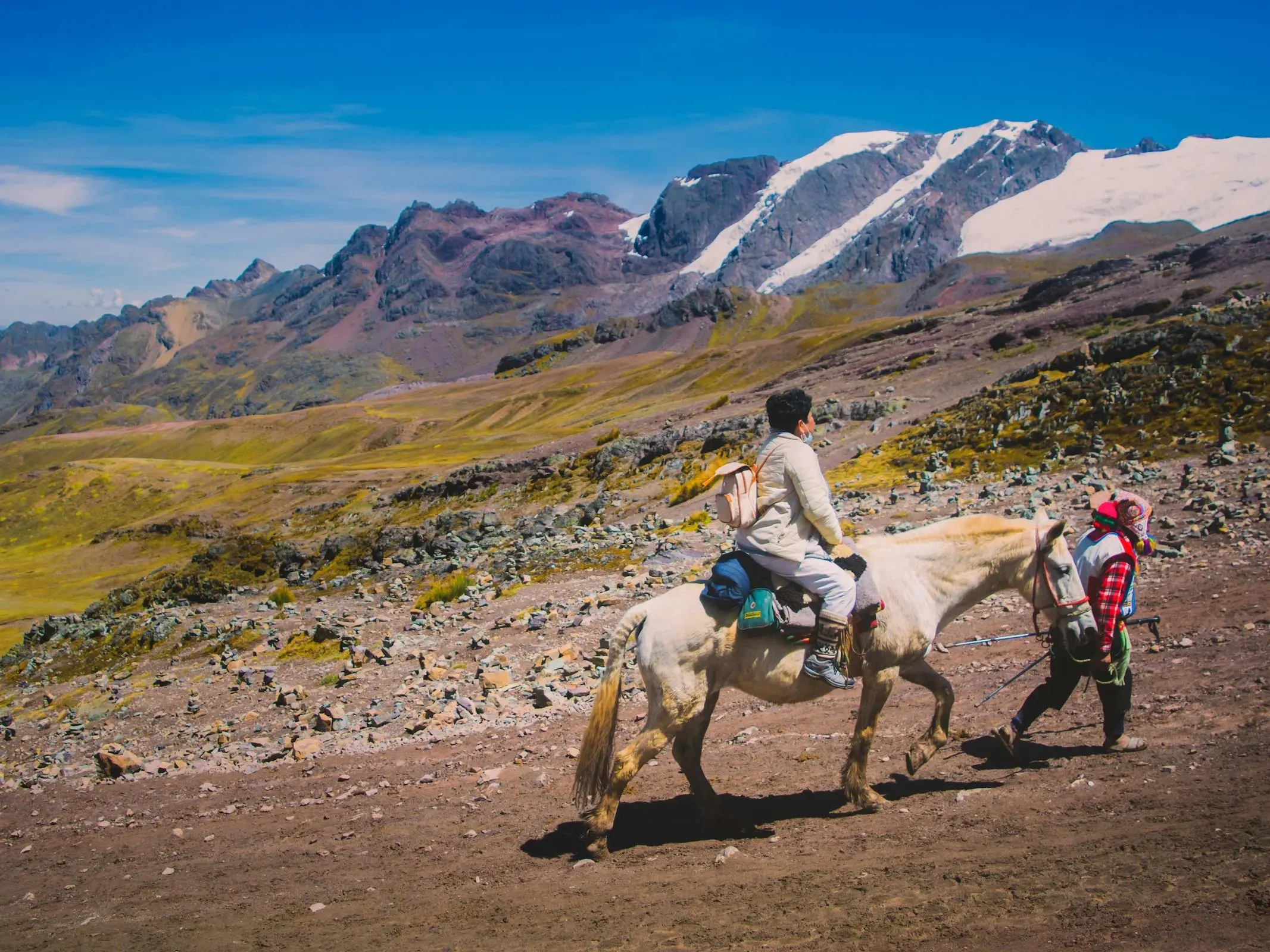 Andean Horse