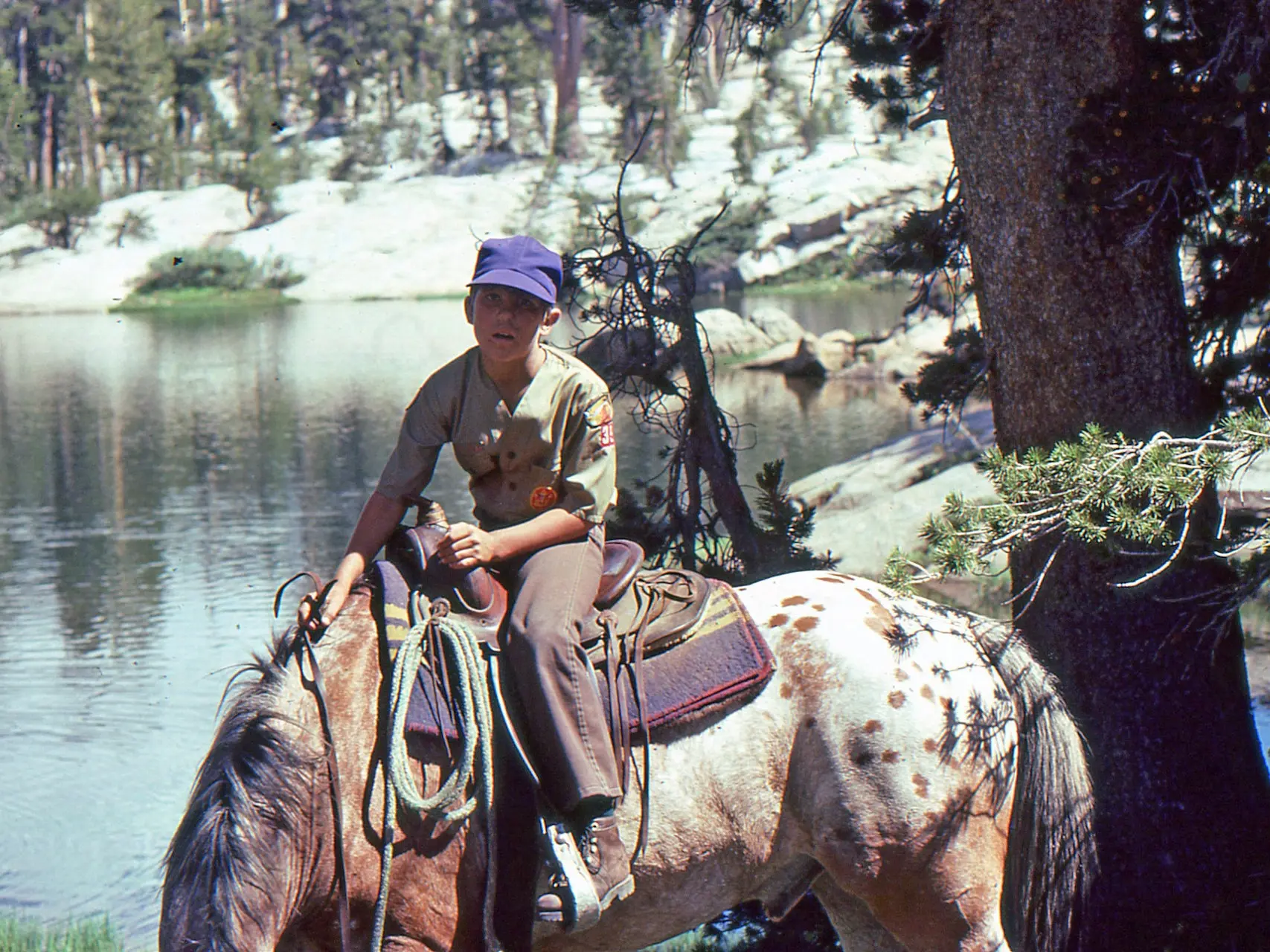 Blanket with spots appaloosa horse