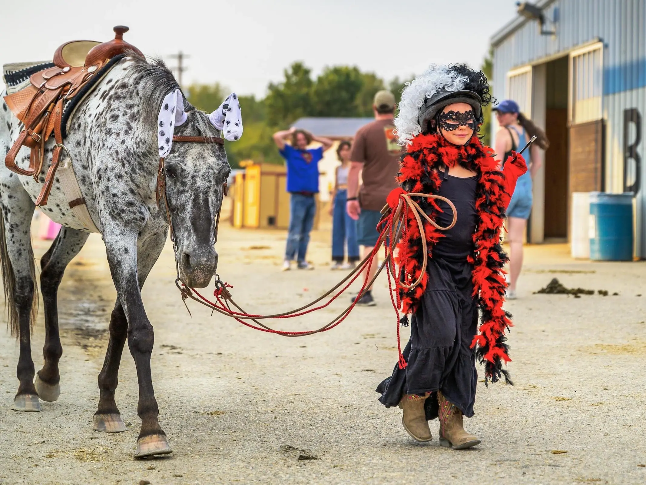 Appaloosa Horse