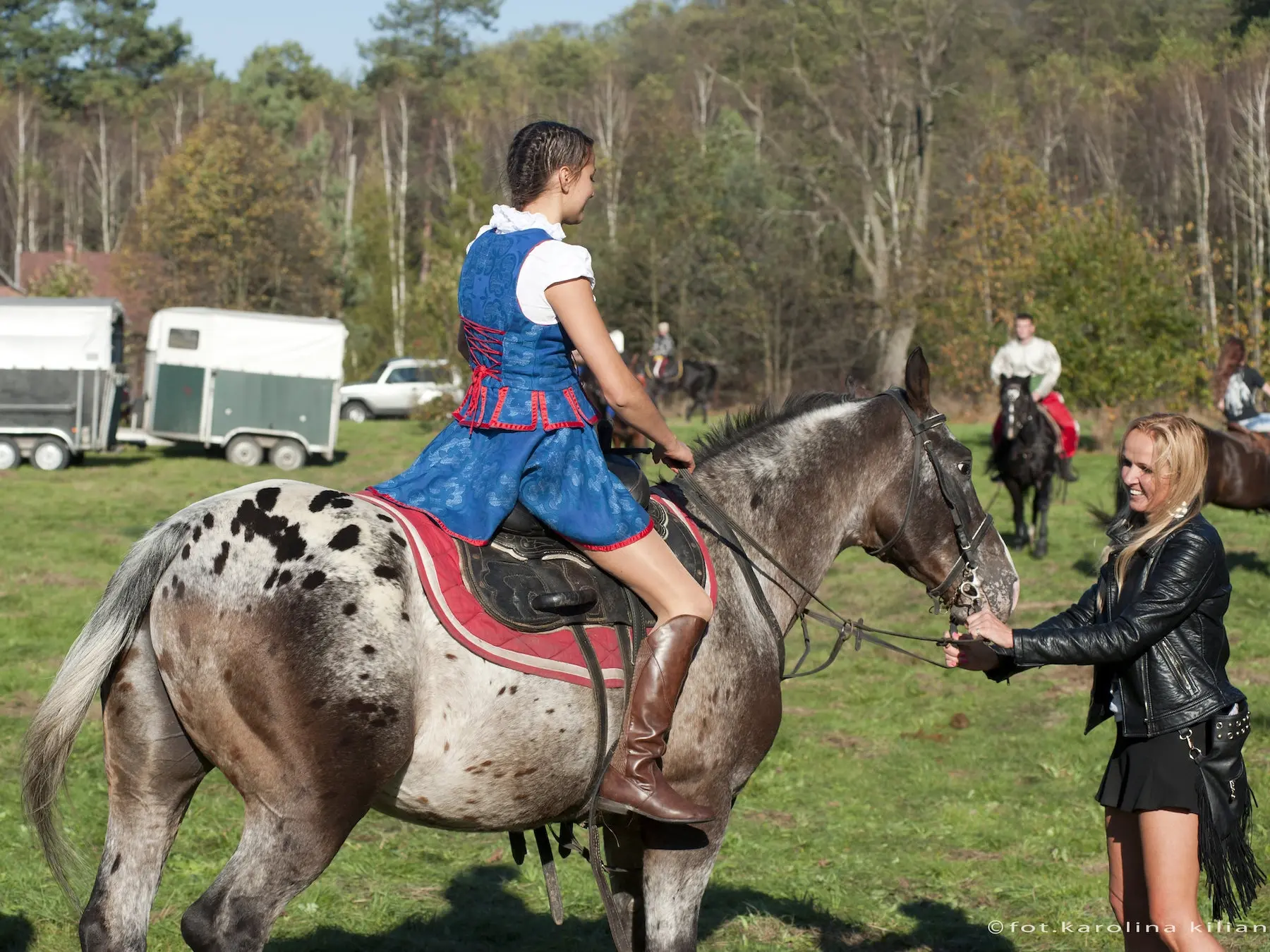 Appaloosa horse with a rat tail