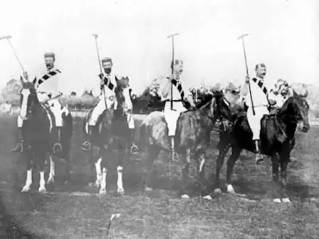 Argentine Polo Pony