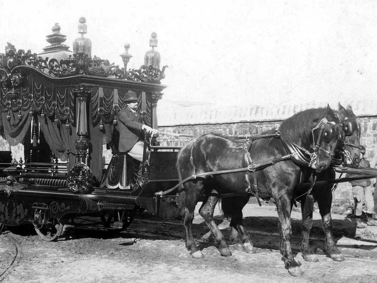 Argentinian Draft Horse