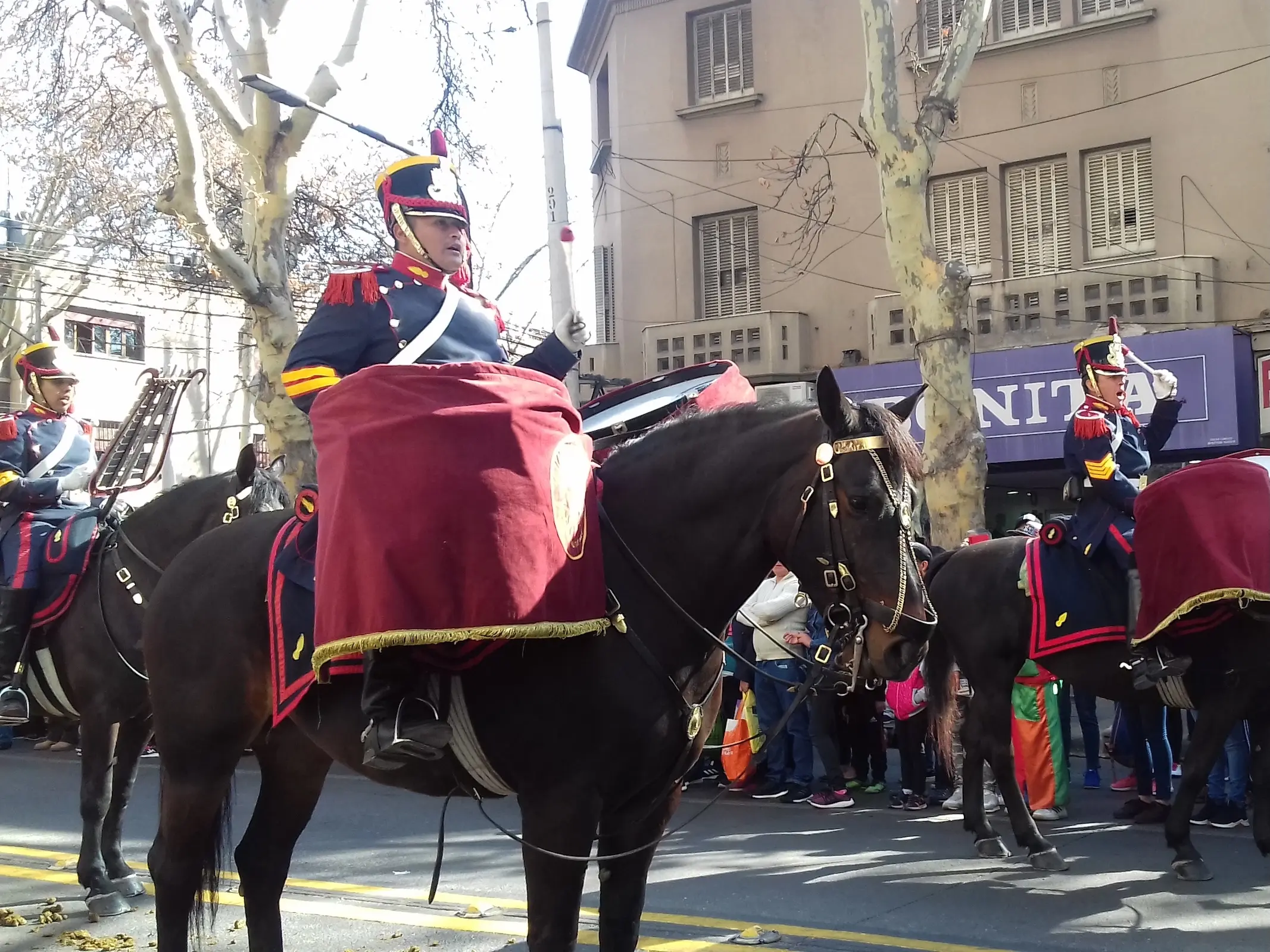 Argentinian Draft Horse