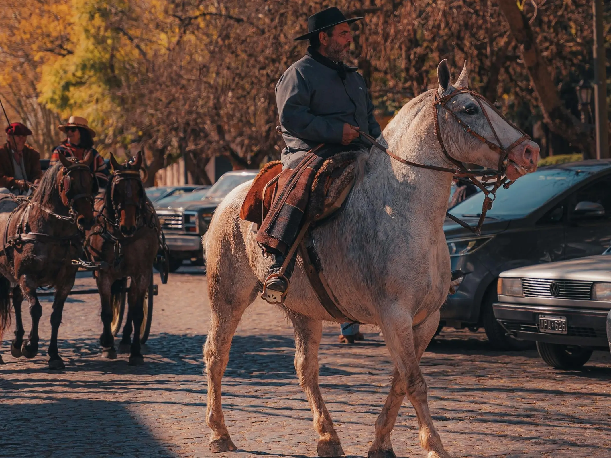 Argentinian Ranch Horse