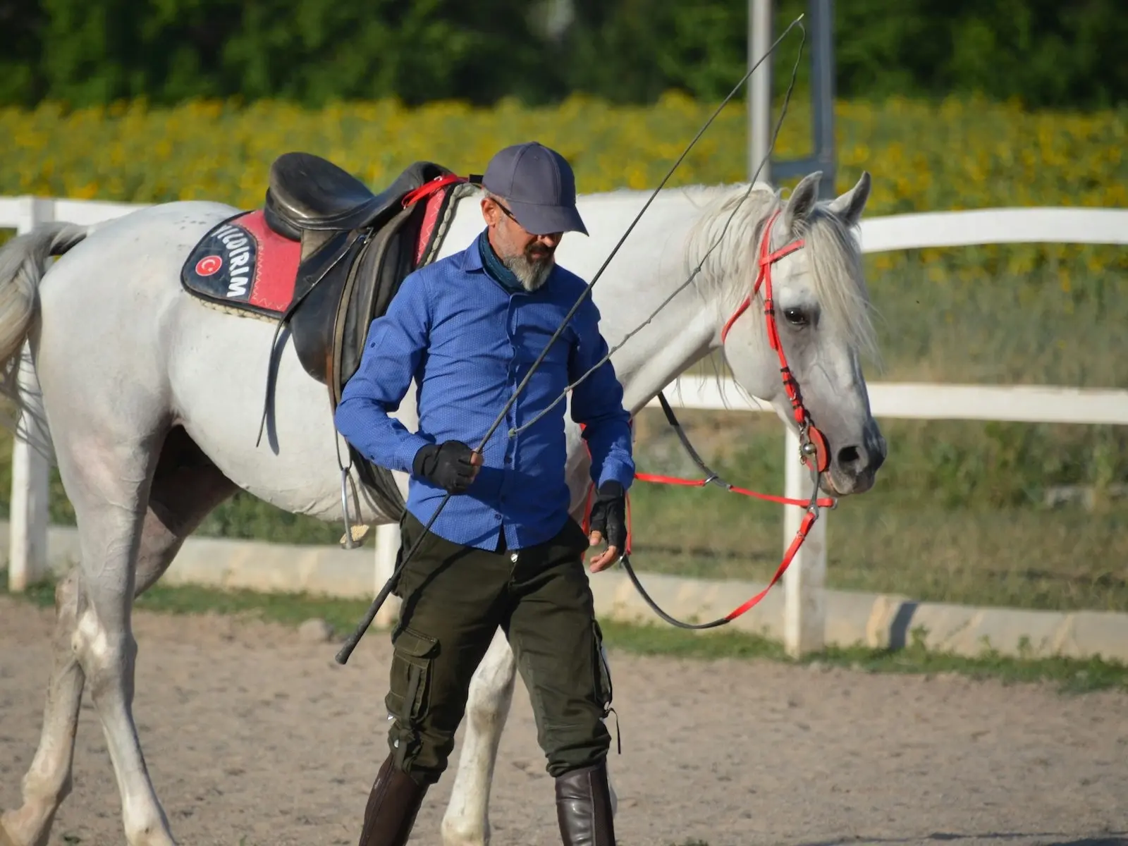 Man walking with a horse