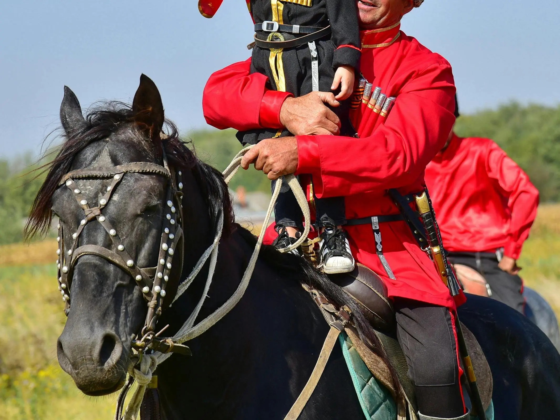 Astrakhan Horse