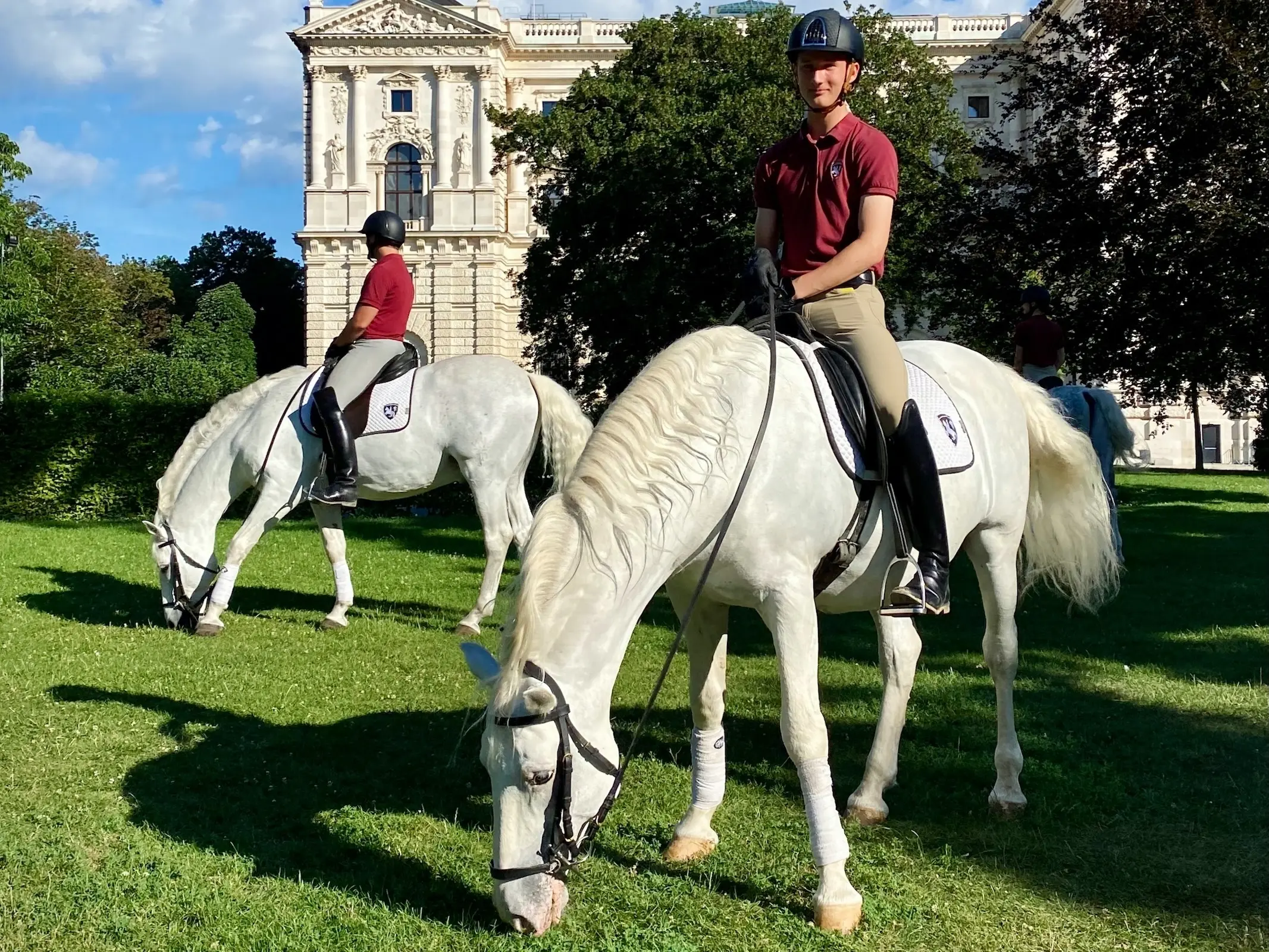 Horse in Austria