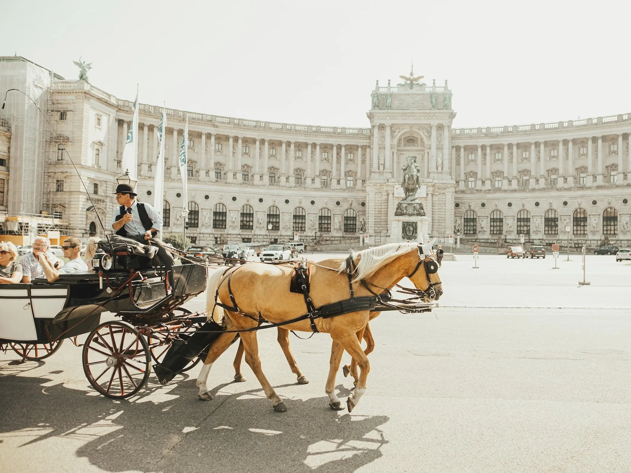 Horse in Austria