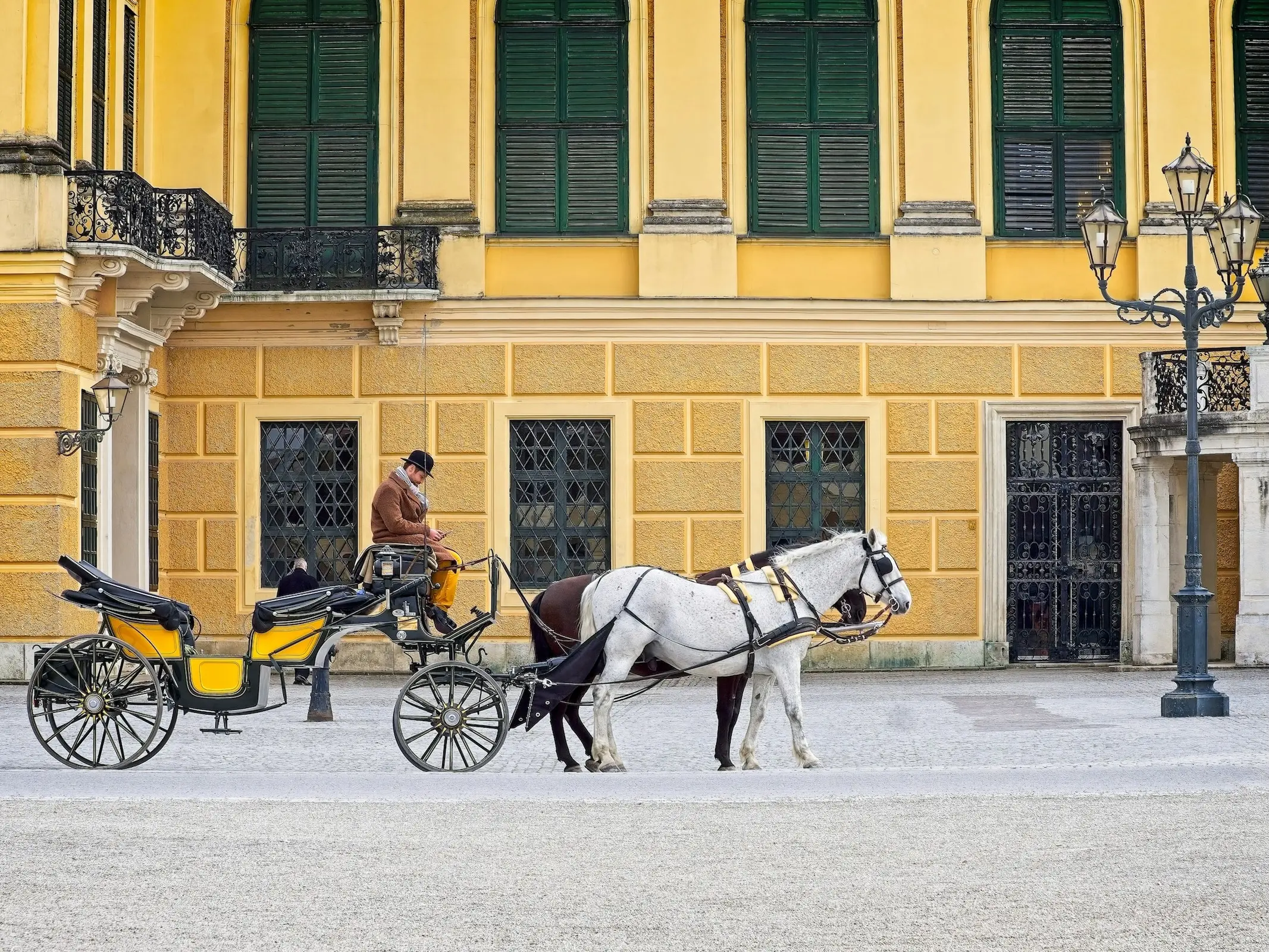 Horse in Austria