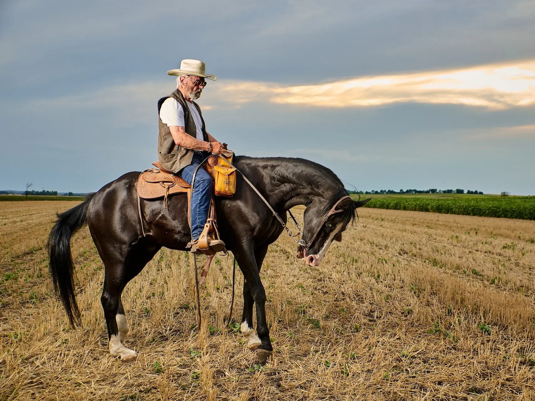 Man on a black horse from the side