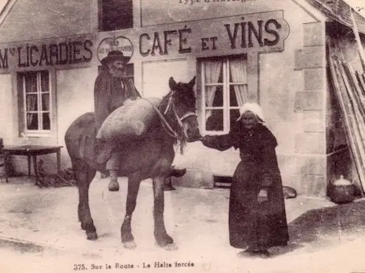 Cheval d’Auvergne