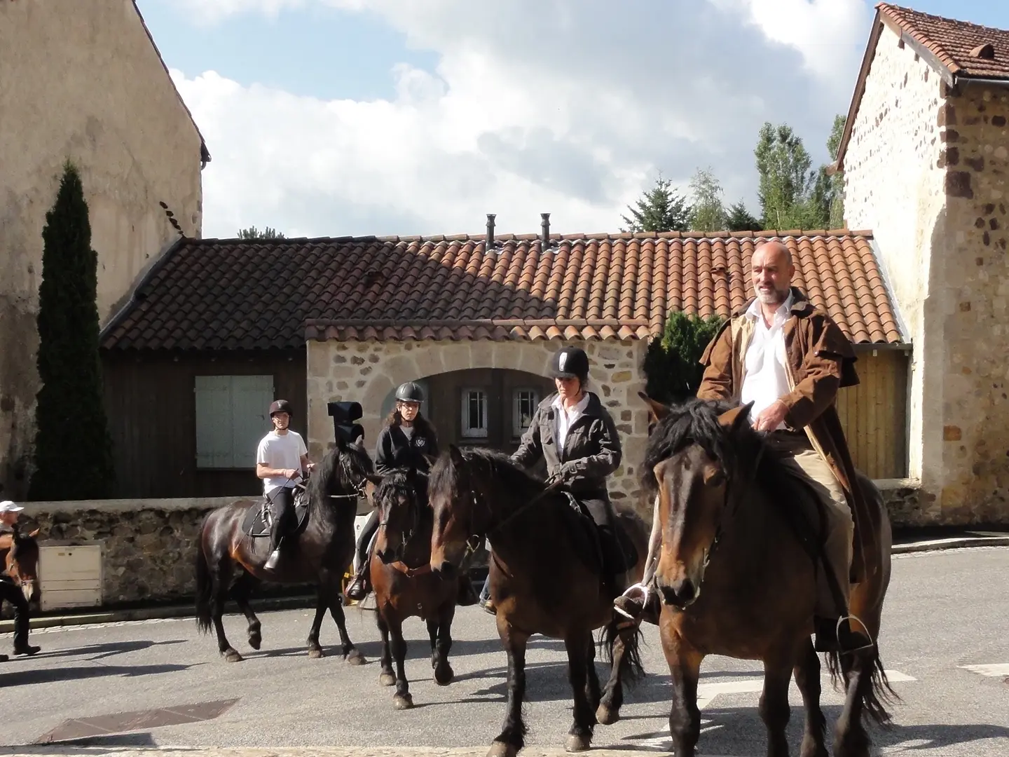 Cheval d’Auvergne