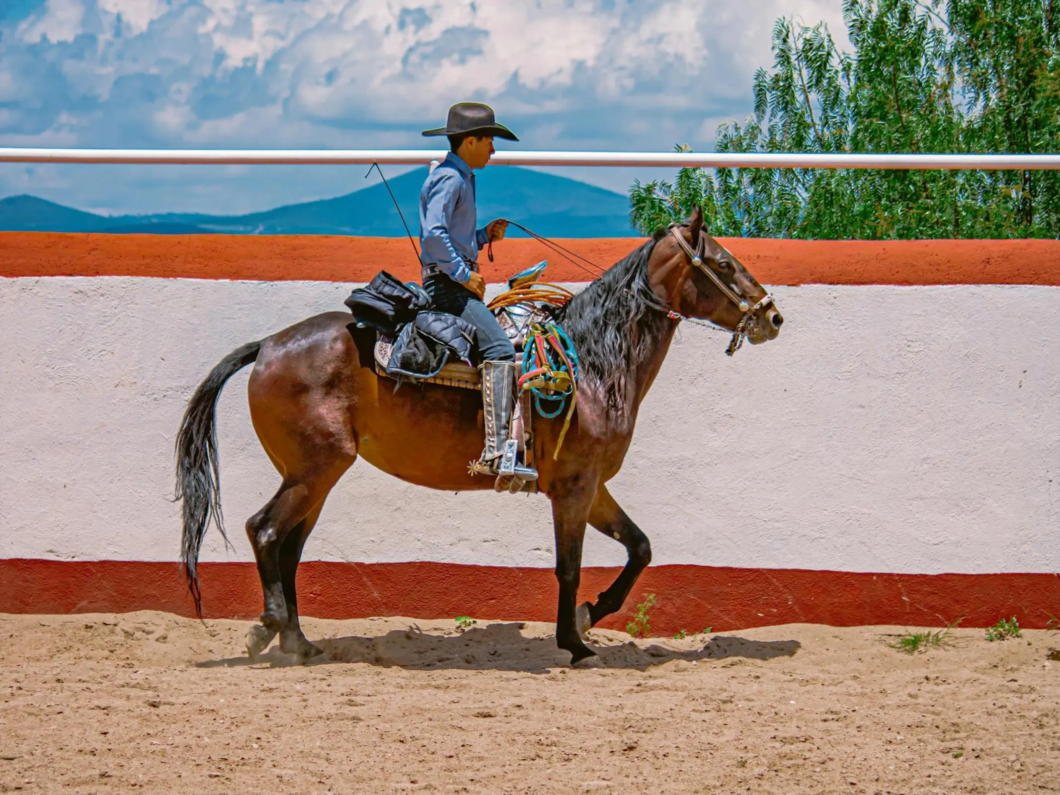 Azteca Horse