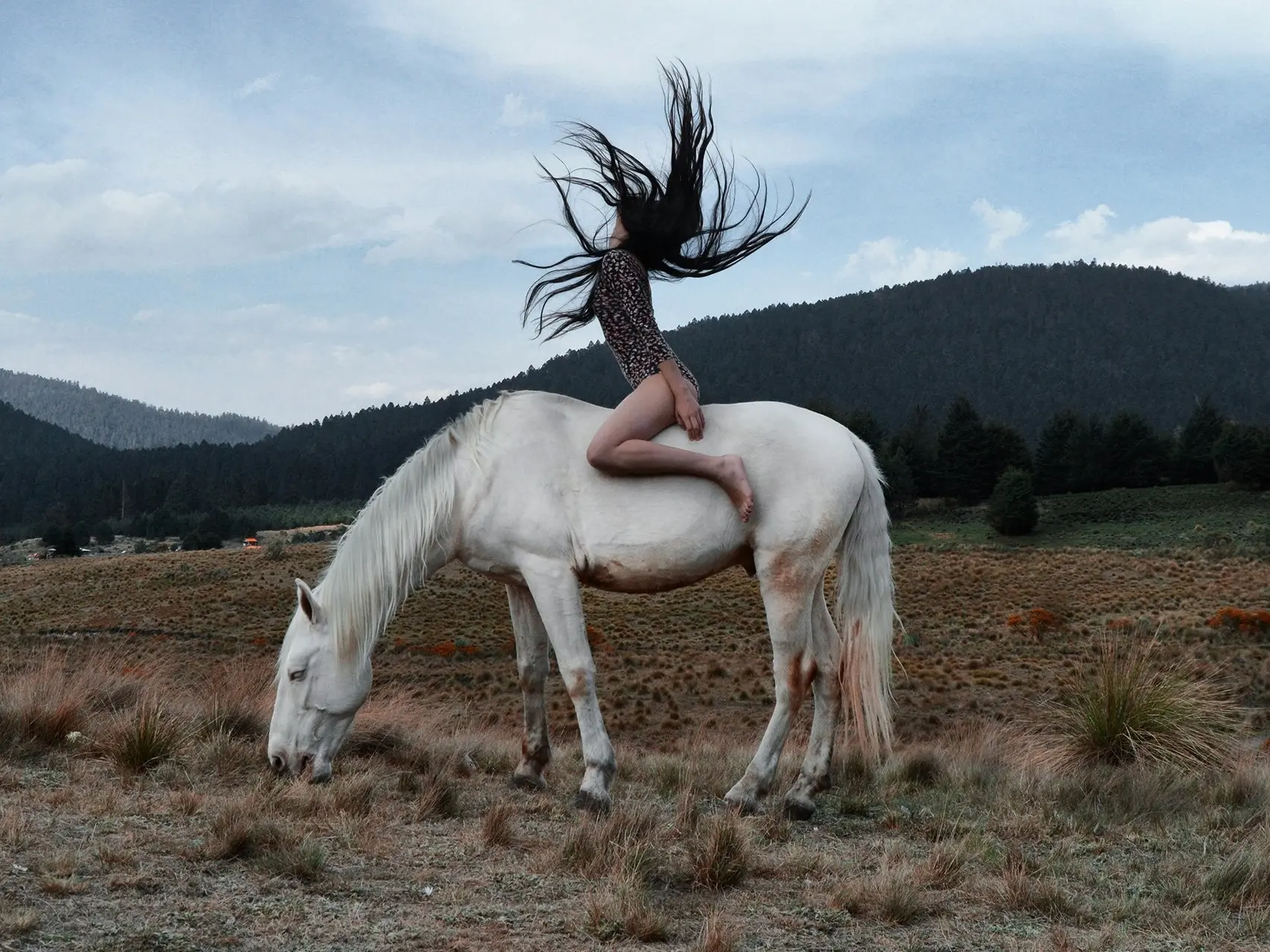 Azteca Horse