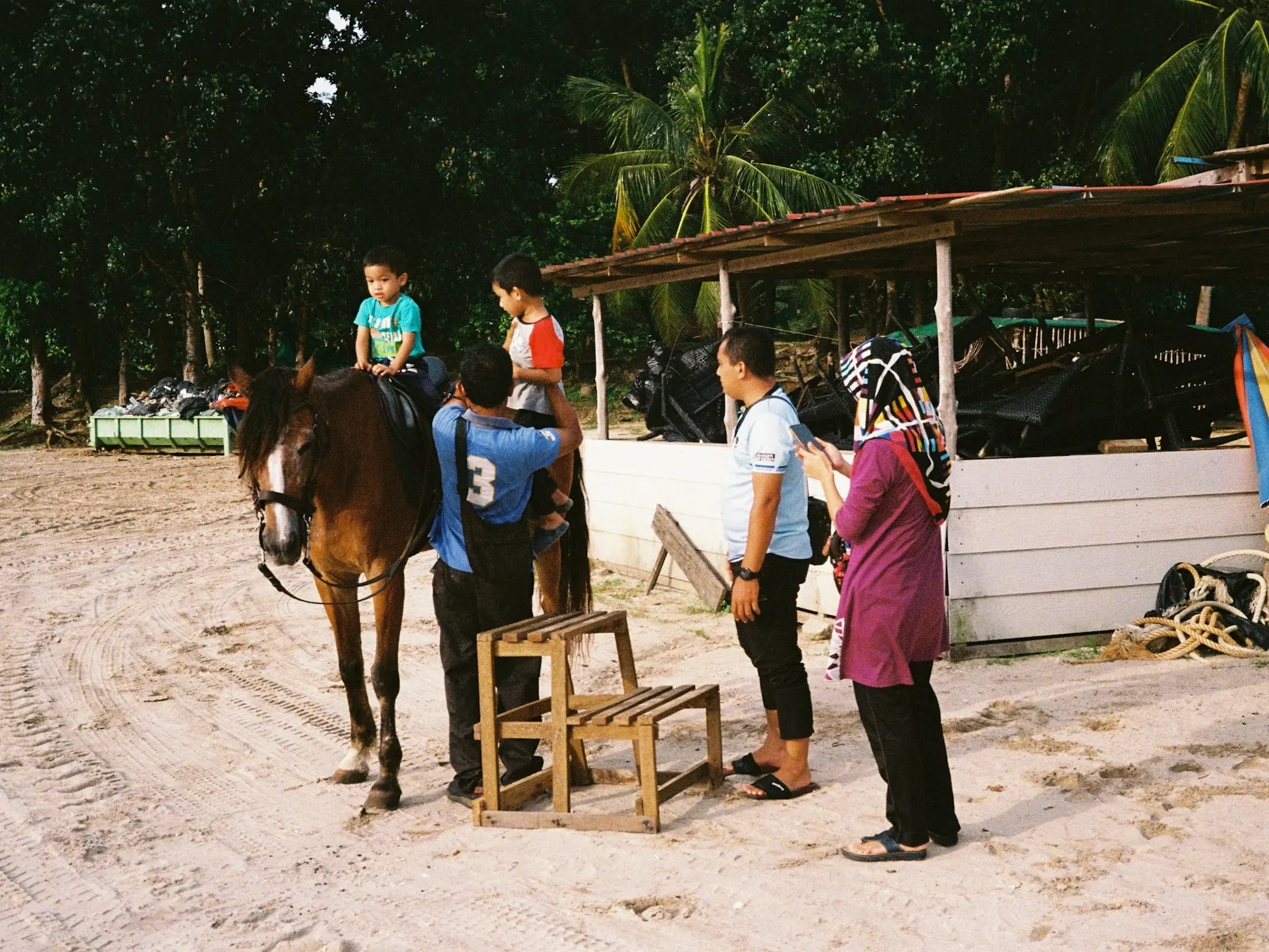 Bajau Pony