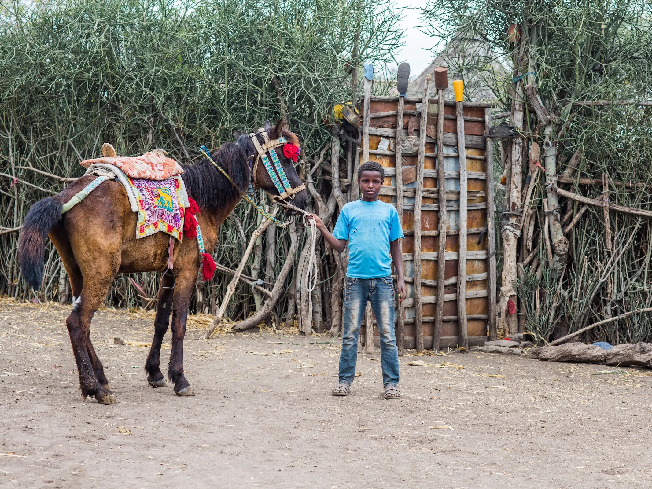 Bale Horse