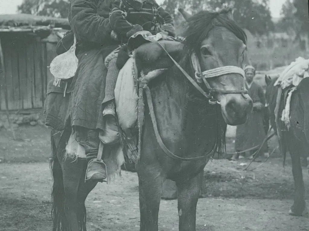 Balikun Horse