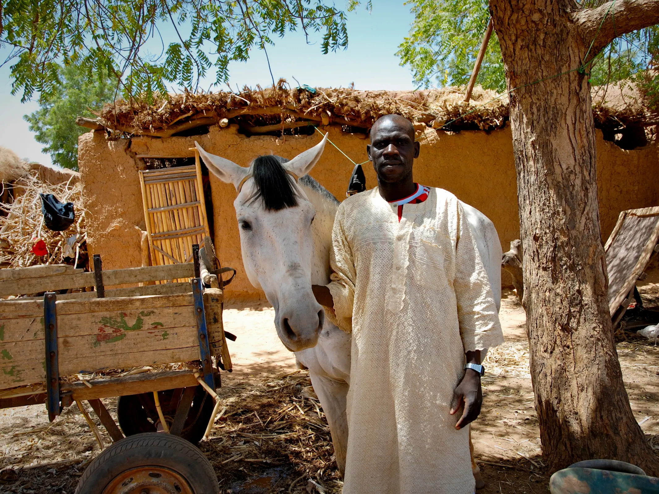 Bandiagara Horse