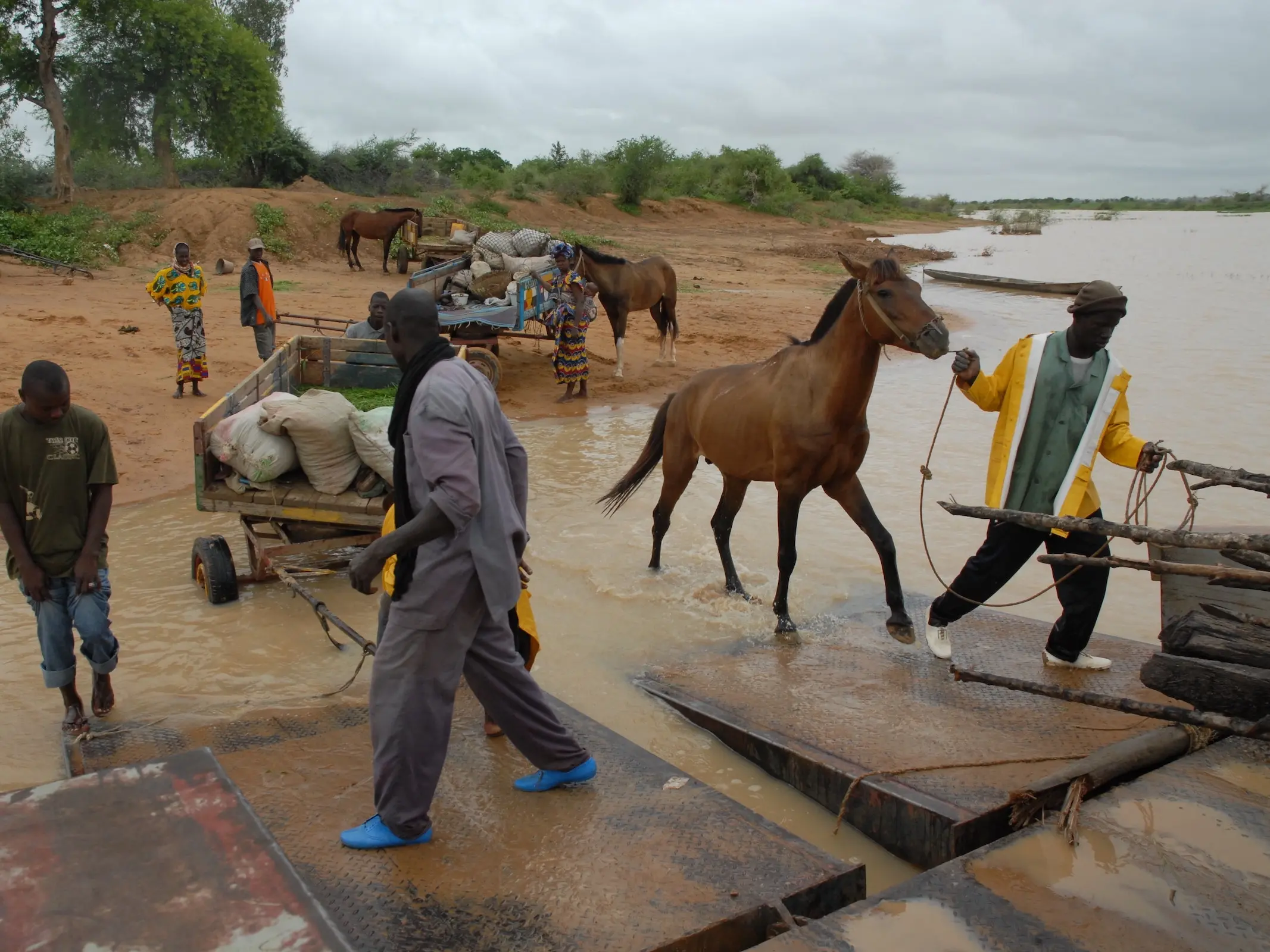 Bandiagara Horse