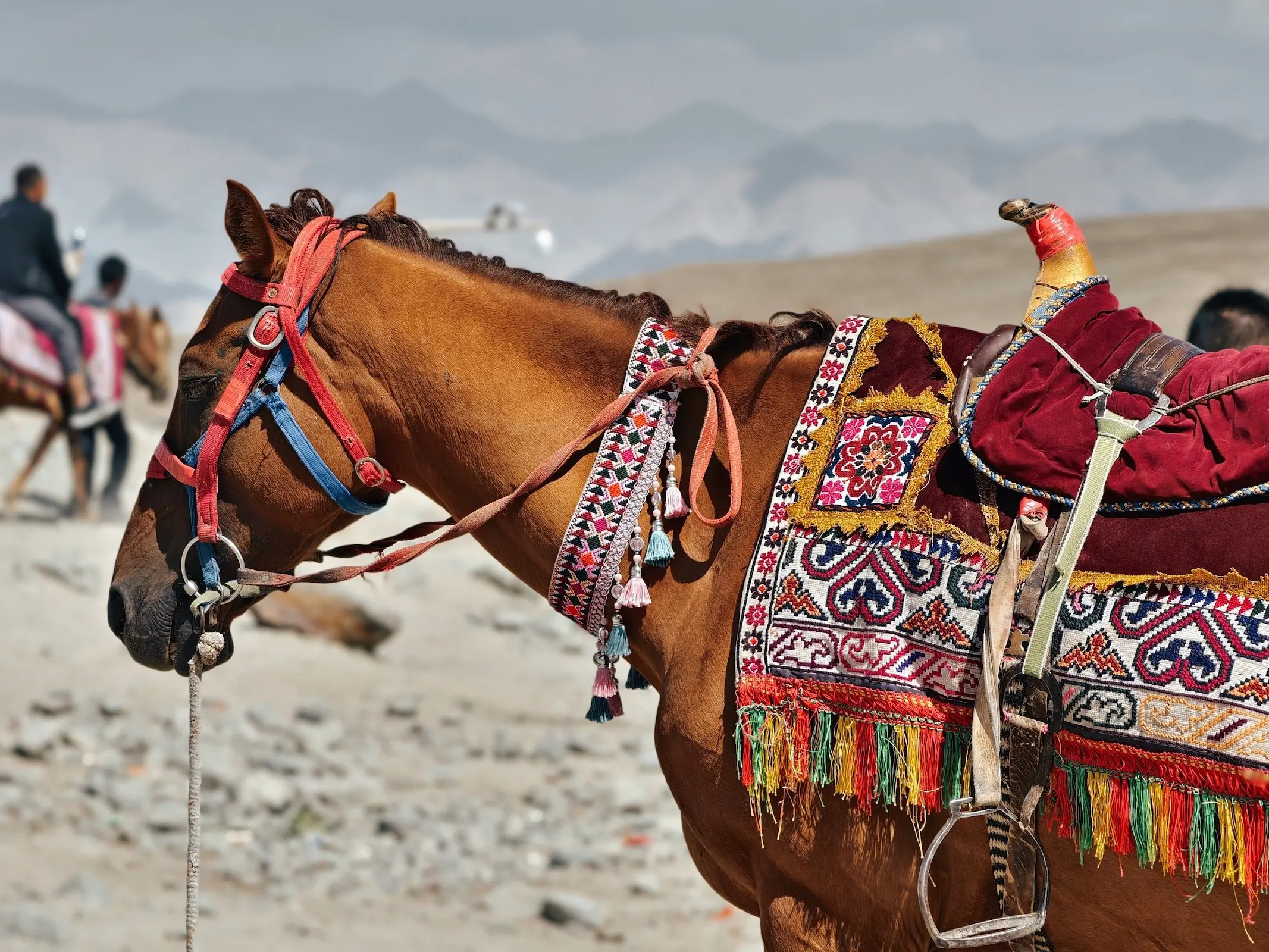 Barkol Horse