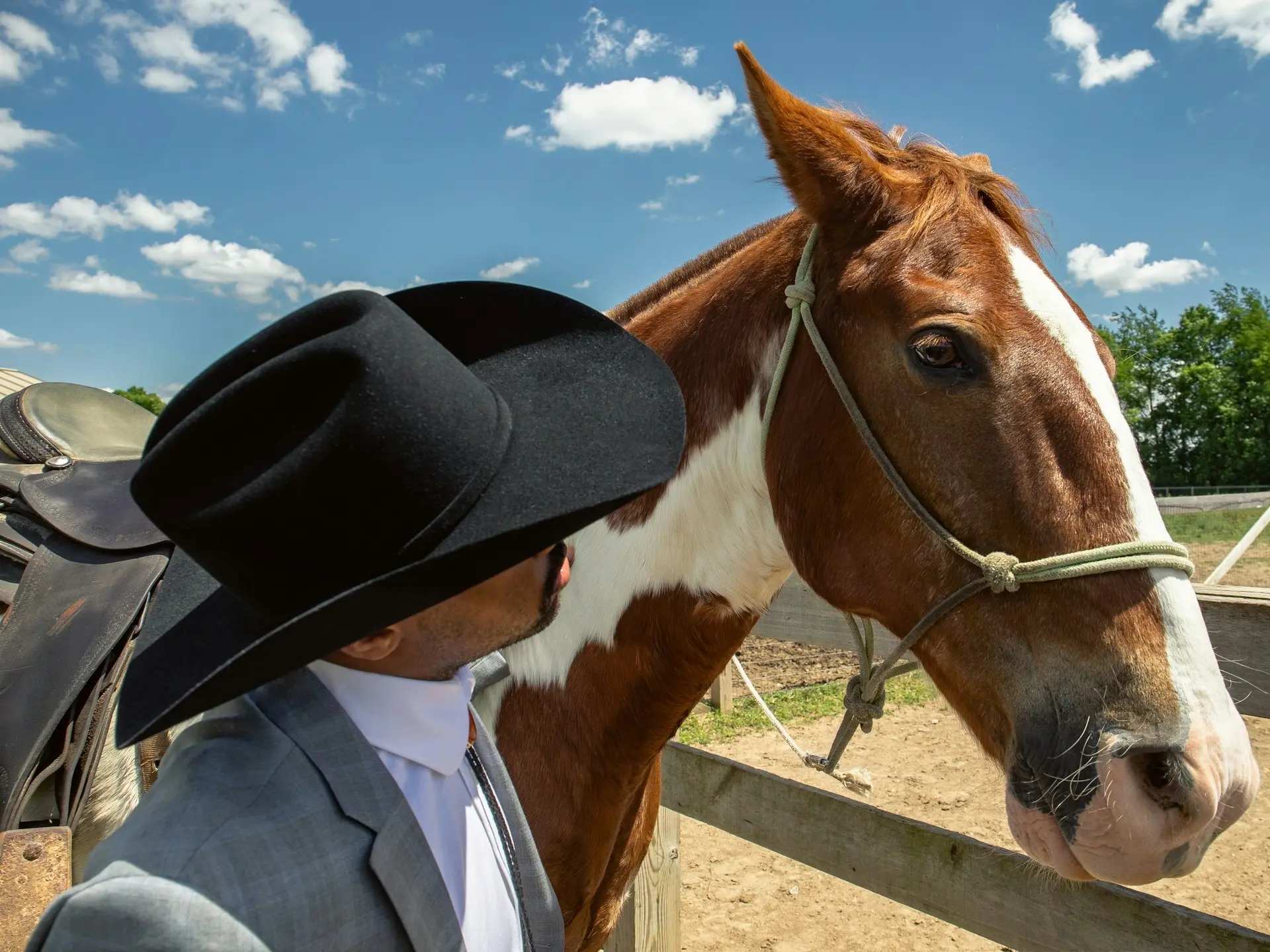 man standing with a horse and cows