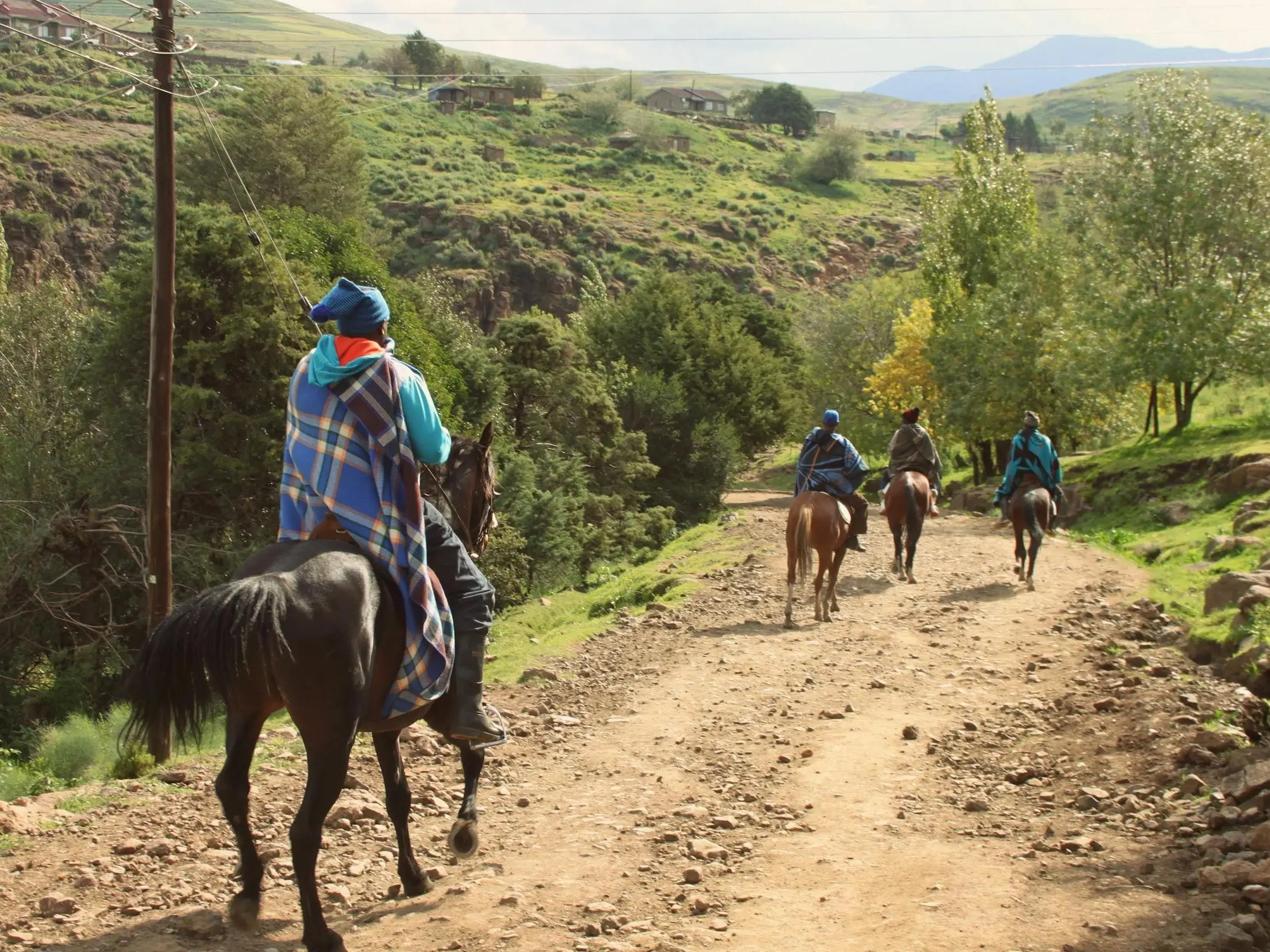 Basotho Pony 