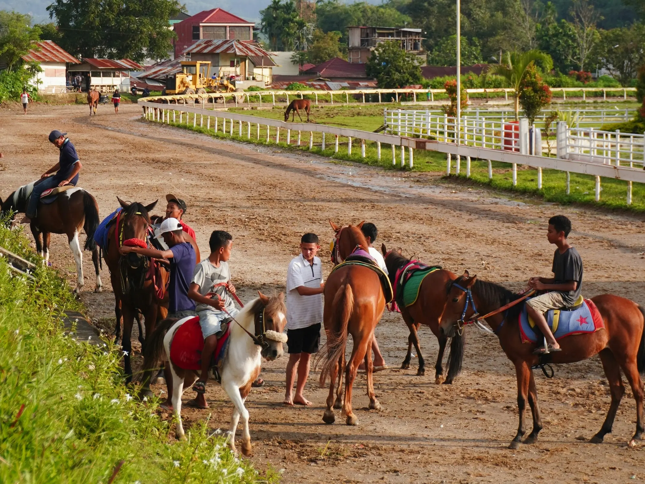 Batak Pony