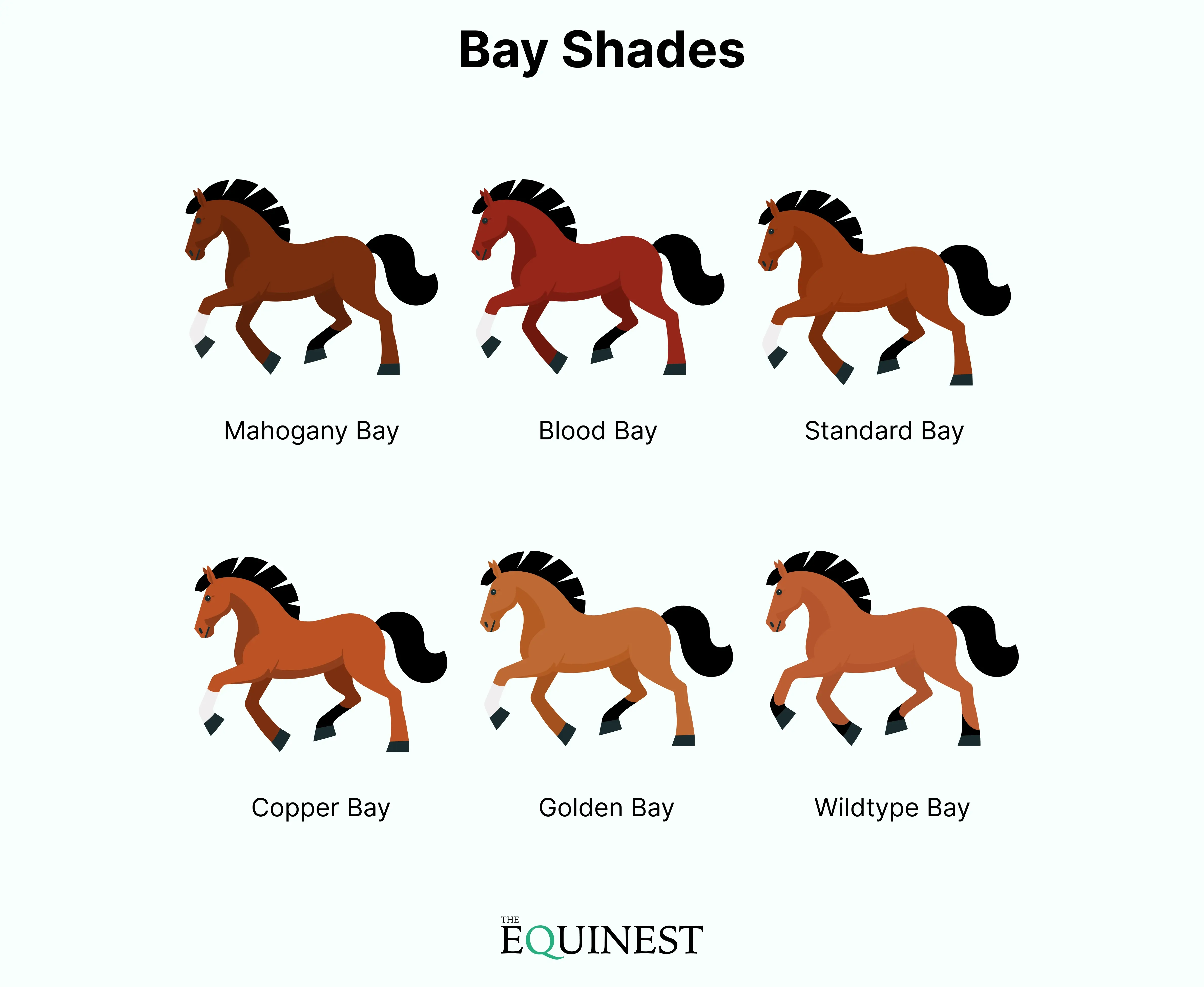 Bay color cheat sheet