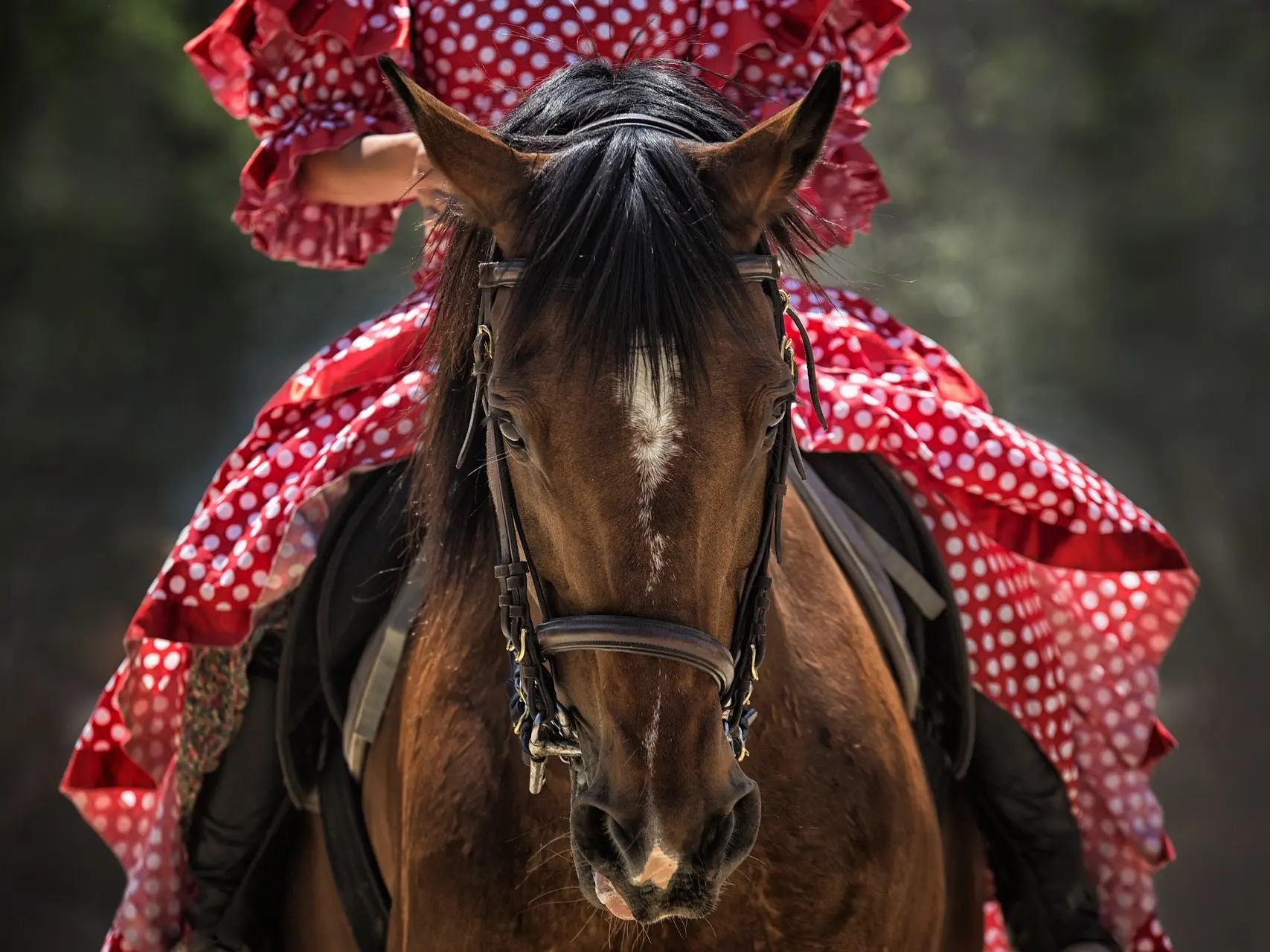 Woman in a red dress riding a bay horse