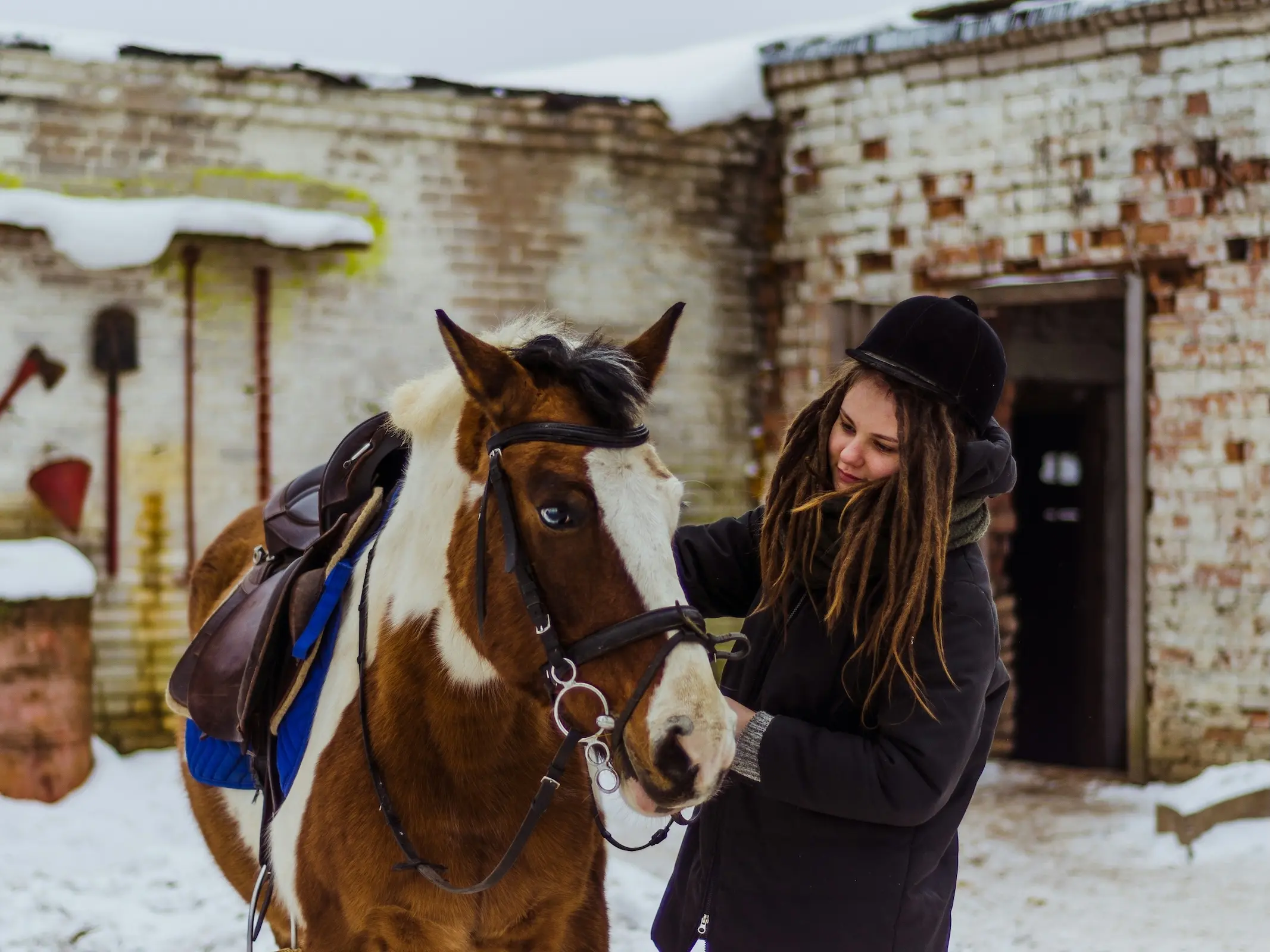 Horse in Belarus
