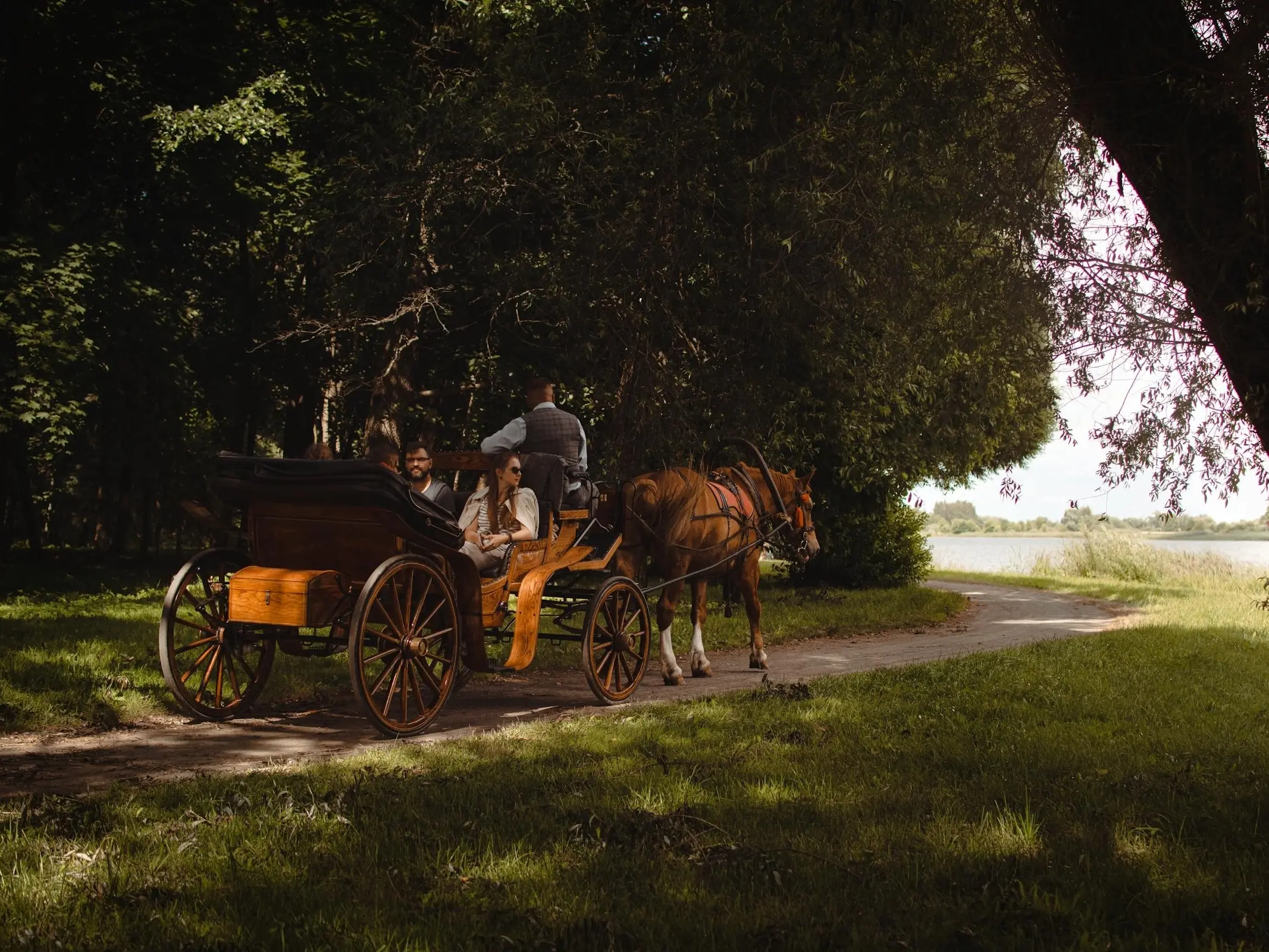 Horse in Belarus