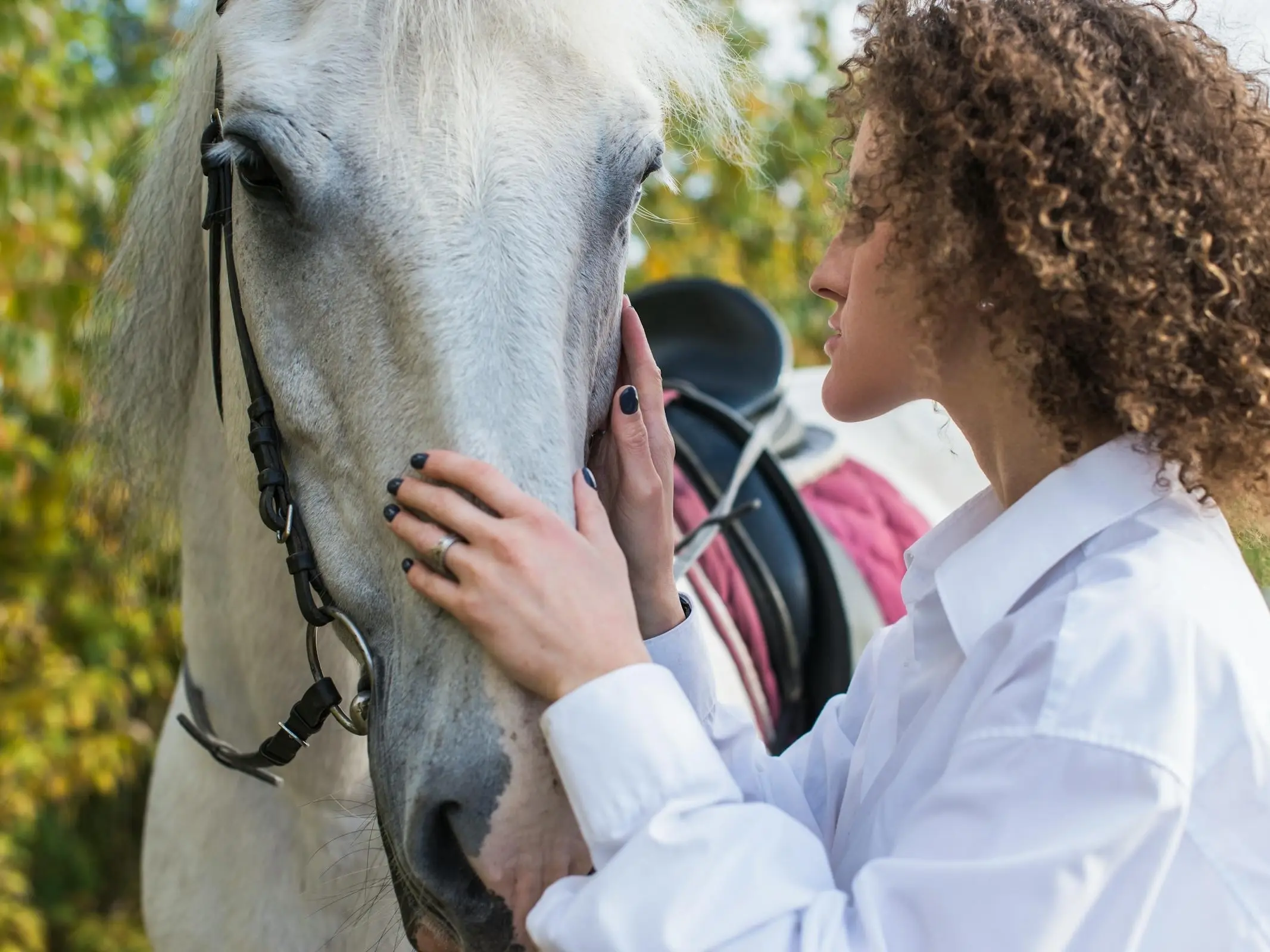 Horse in Belarus