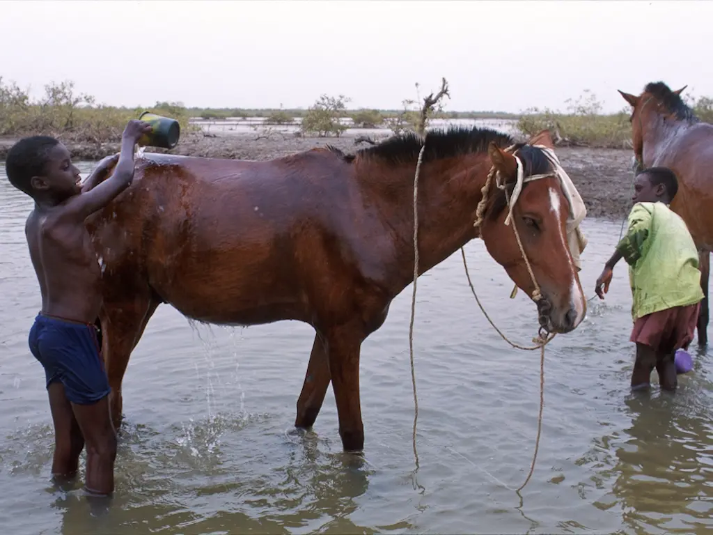 Beledougou