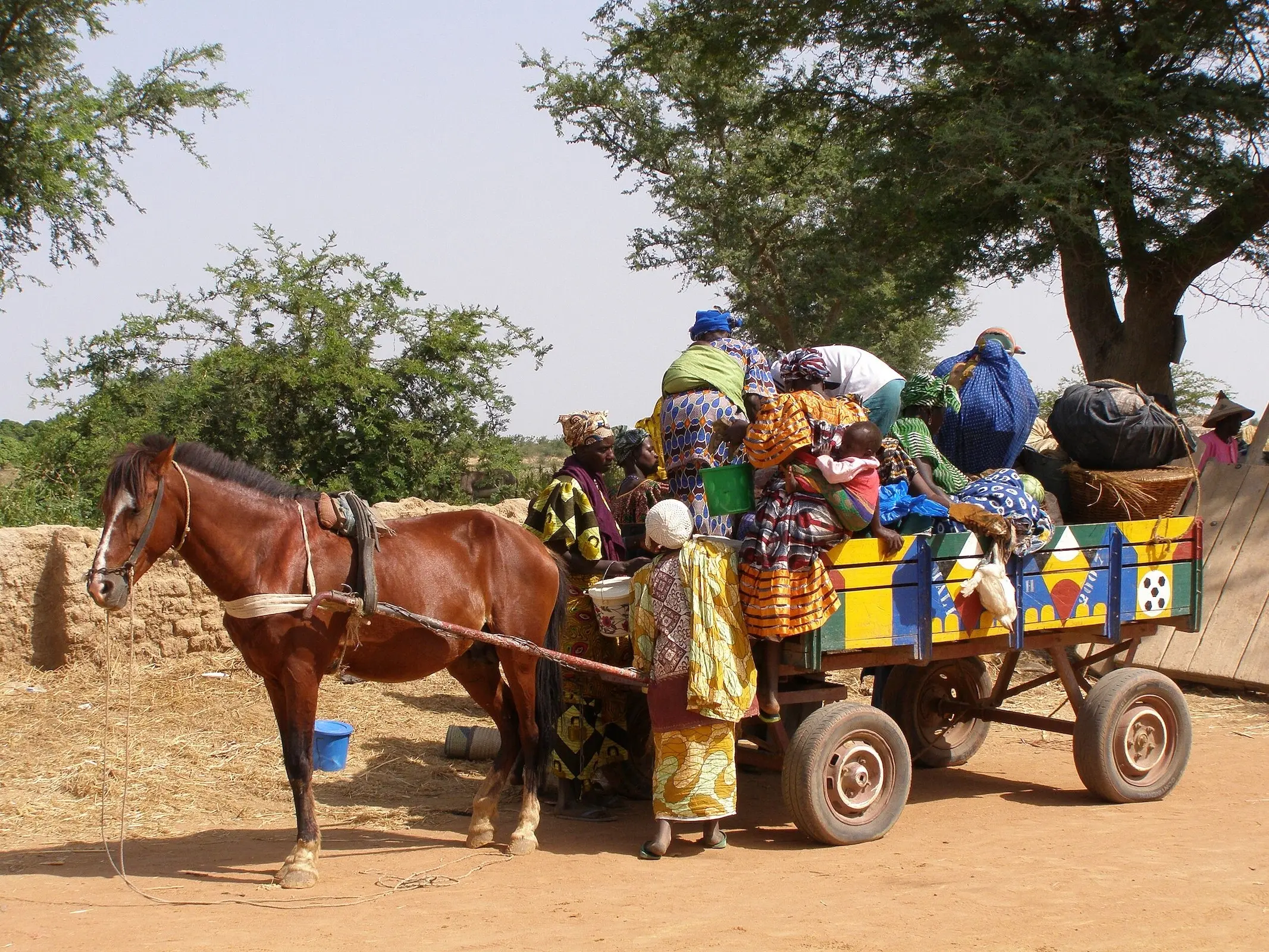 Beledougou Horse