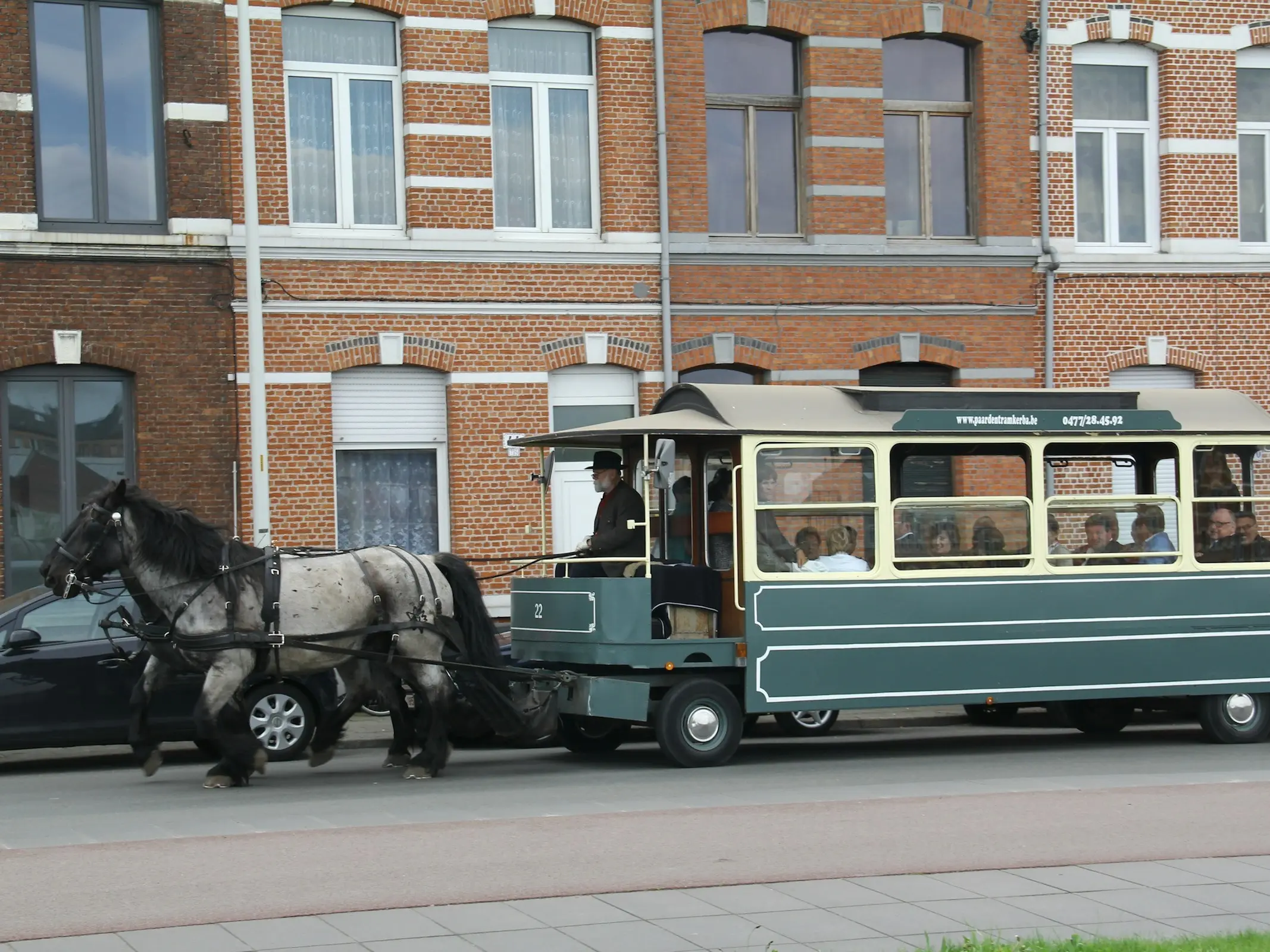 Belgian Ardennais Horse