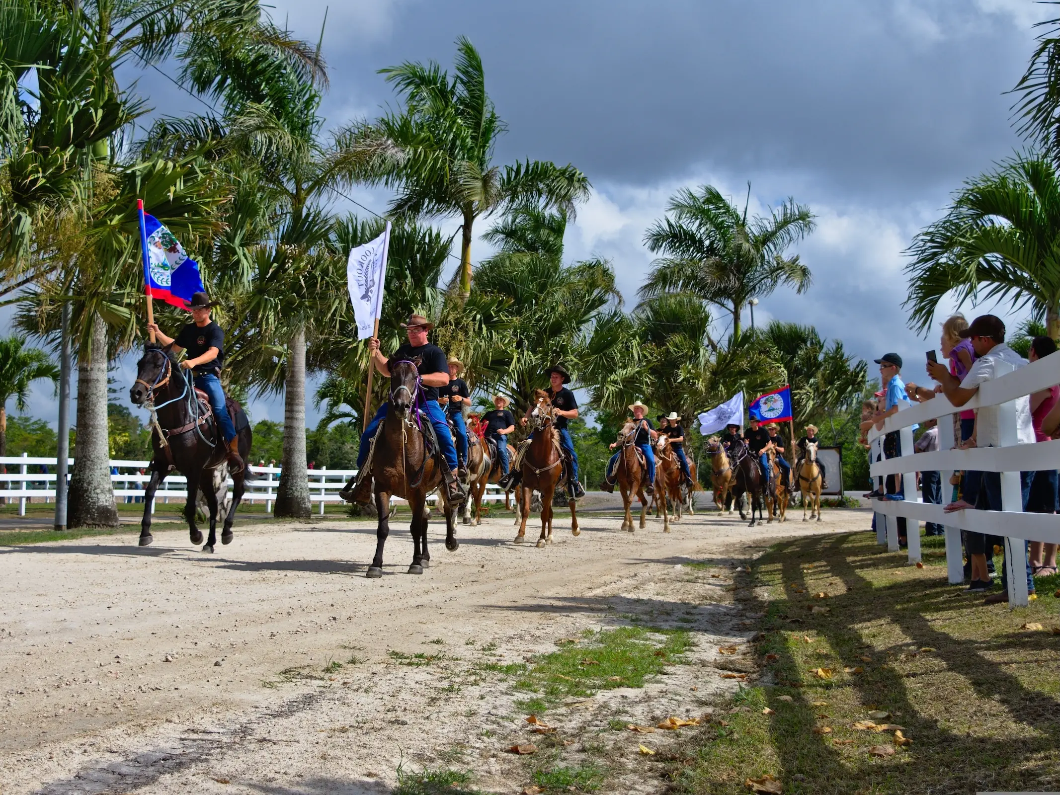 Belizean Criollo Horse