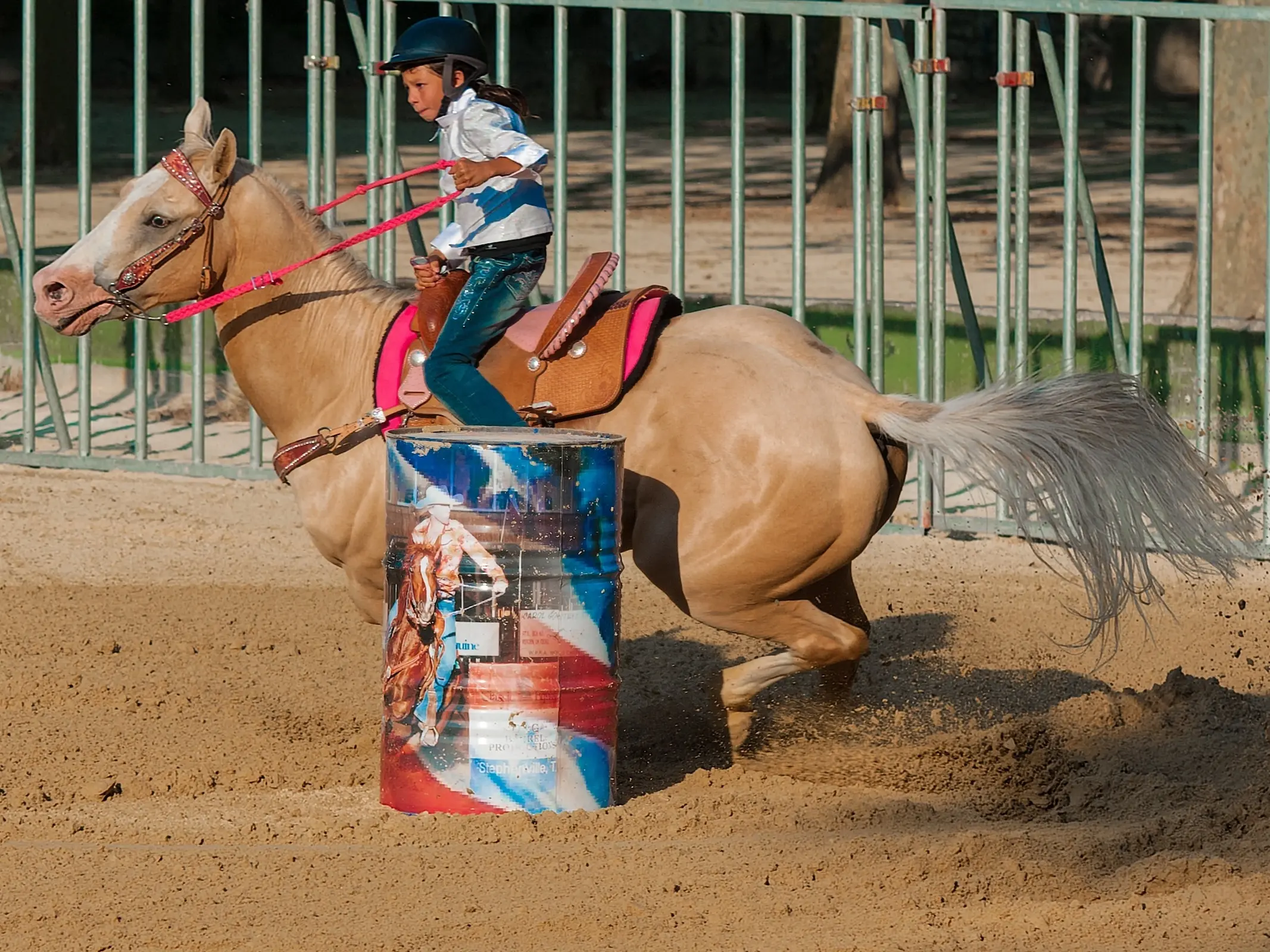 Horse with bend or spots