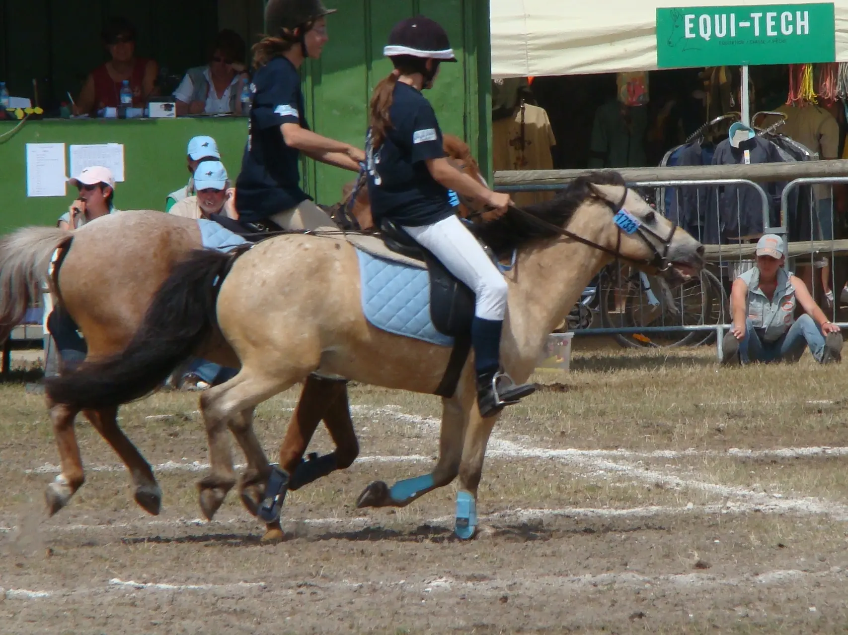 Horse with bend or spots